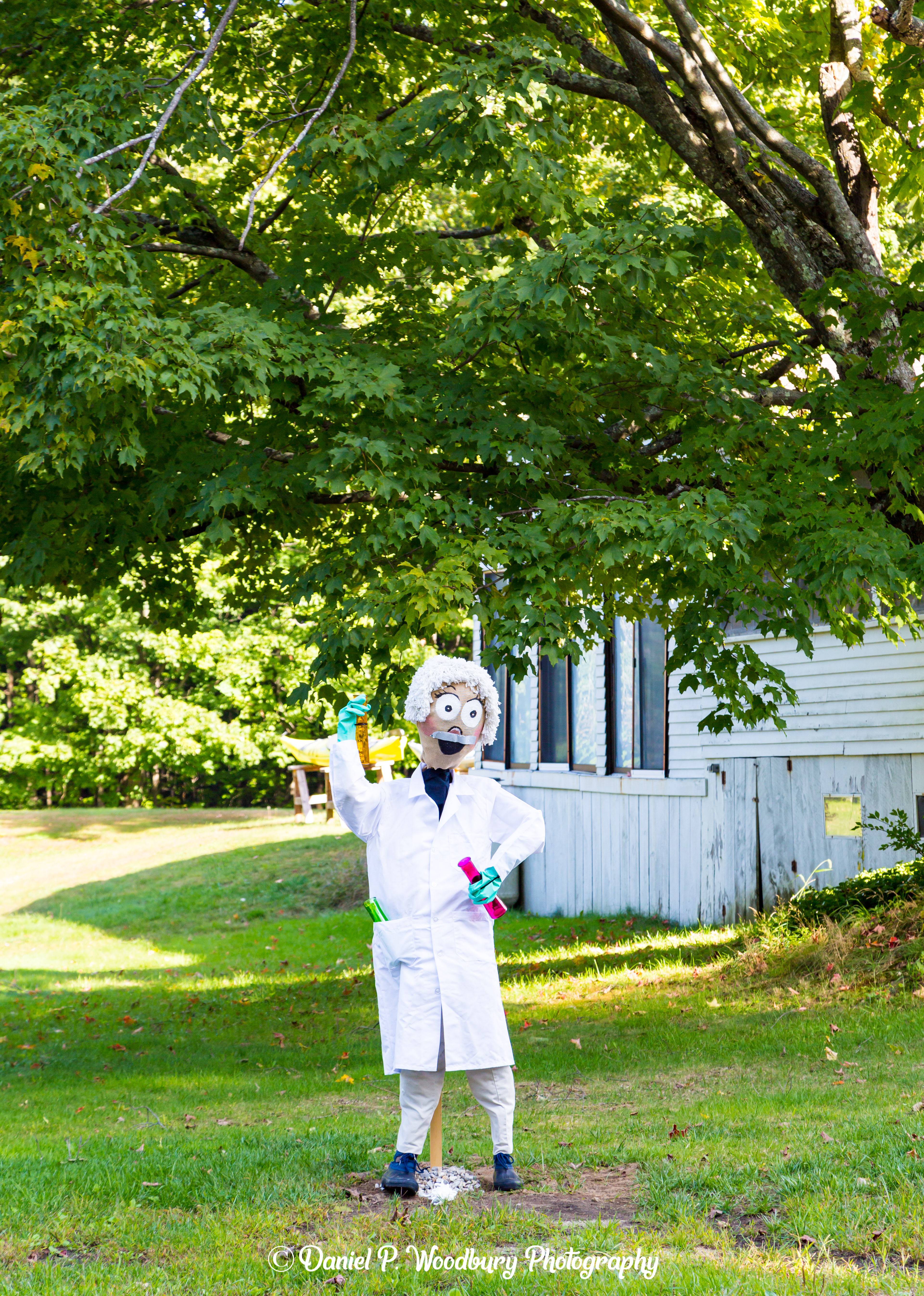 Genius Scarecrow