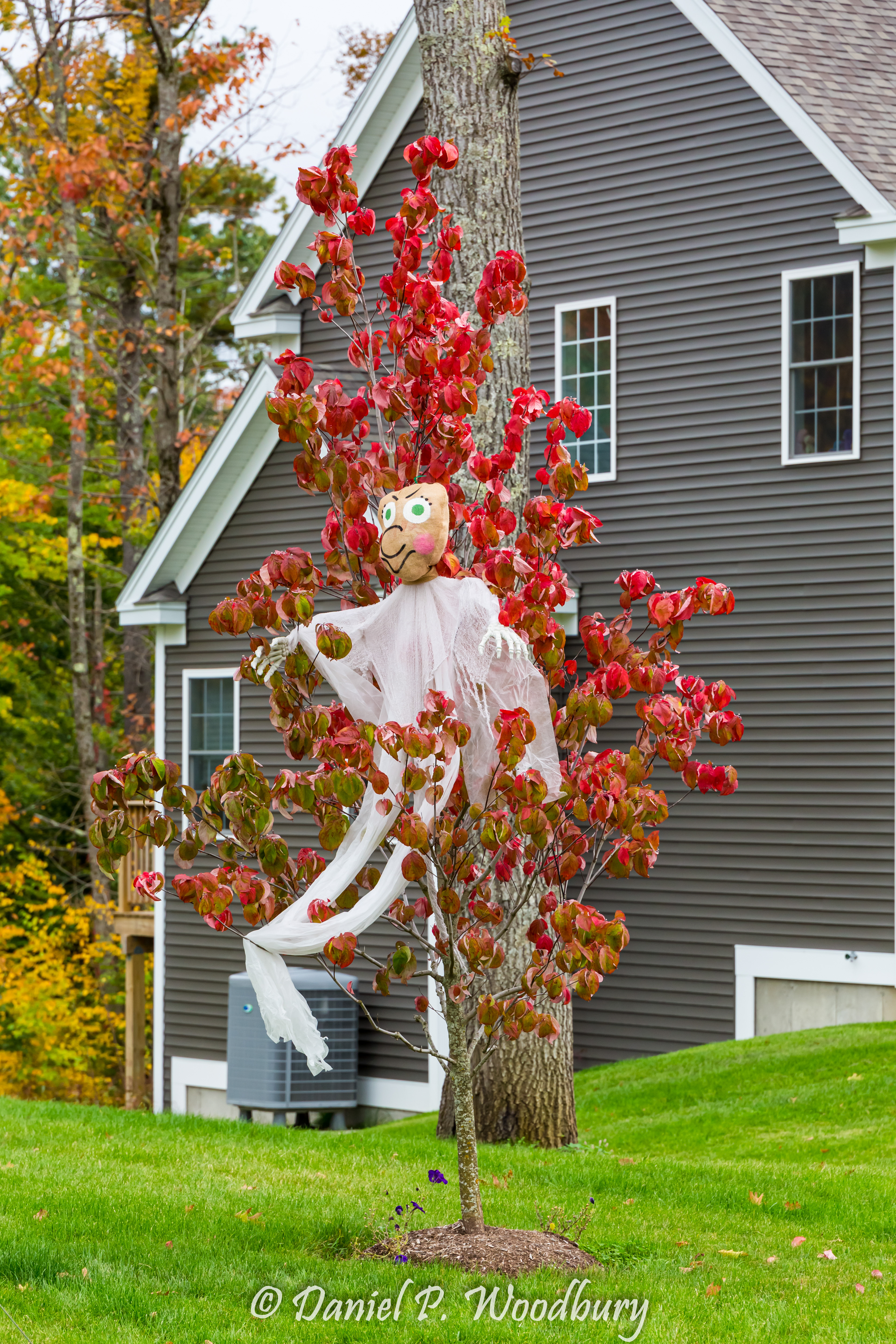 Ghost Scarecrow