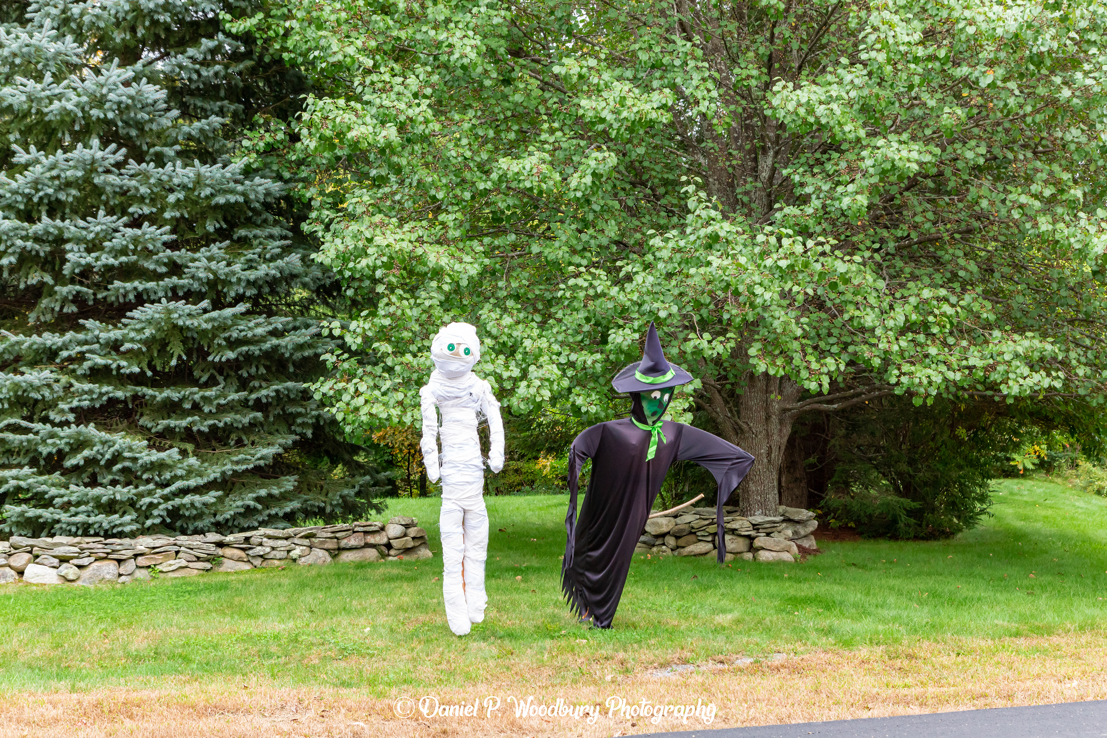 Mummy & Witch Scarecrows