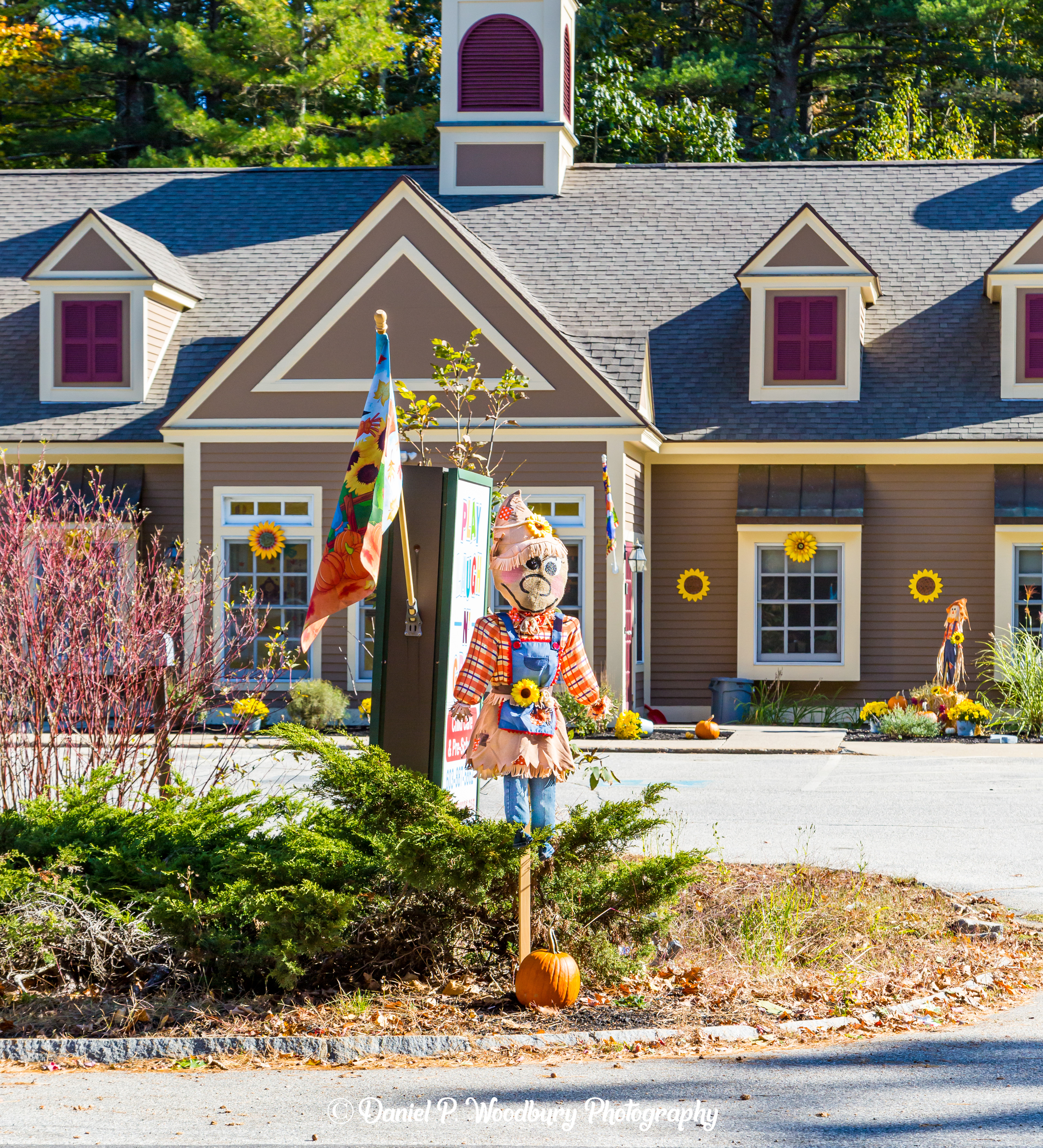 Sunflower Girl Scarecrow