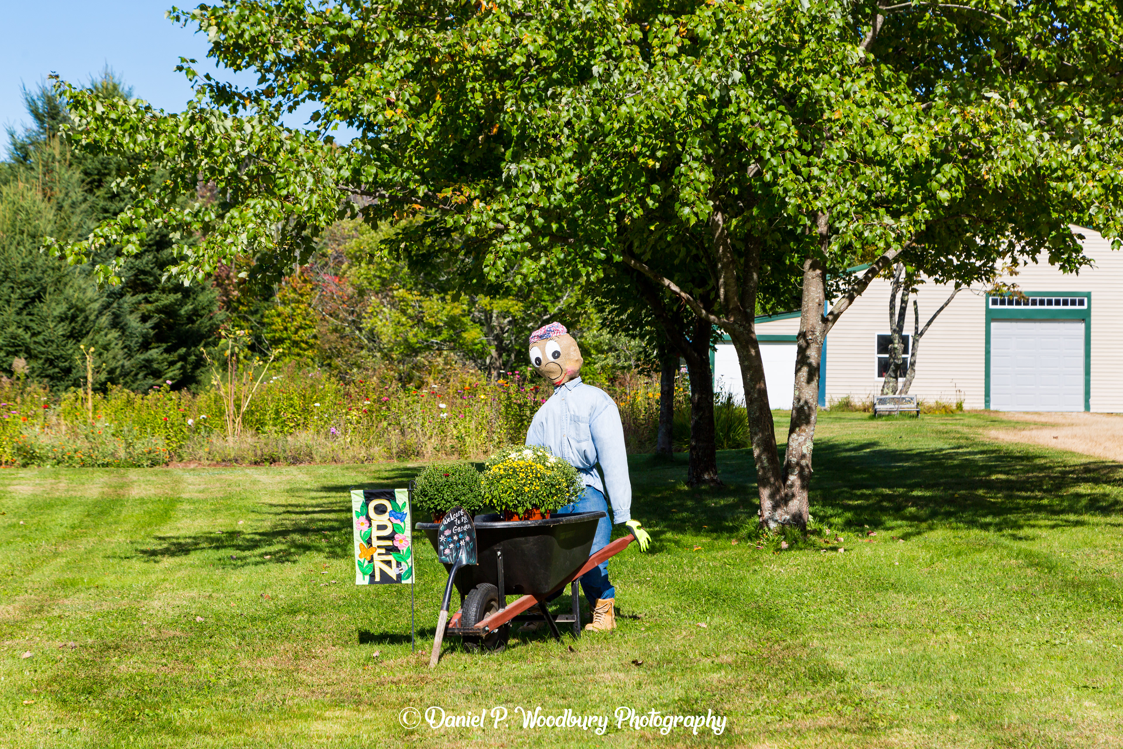 Gardener Scarecrow