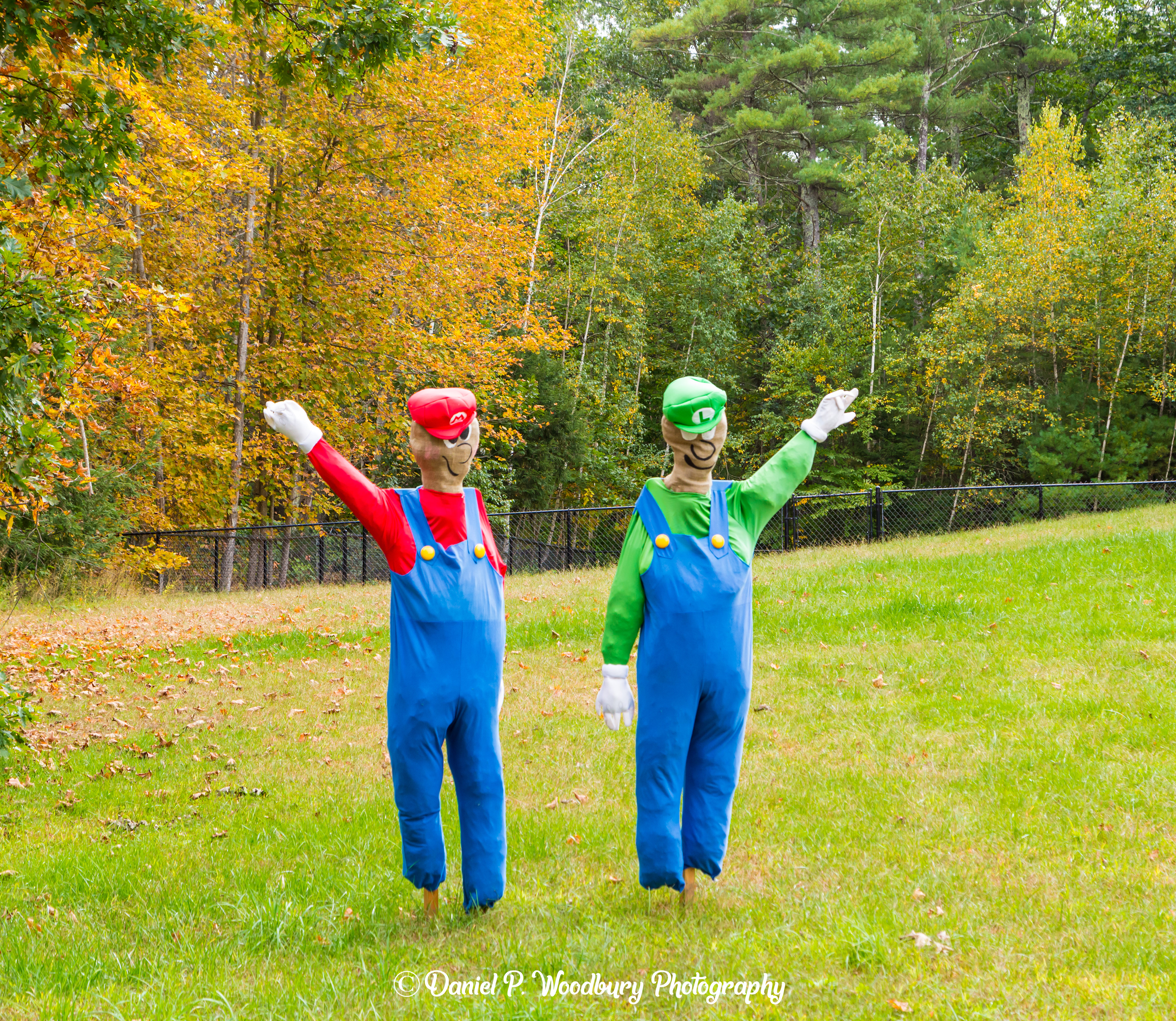 Mario & Luigi Scarecrows