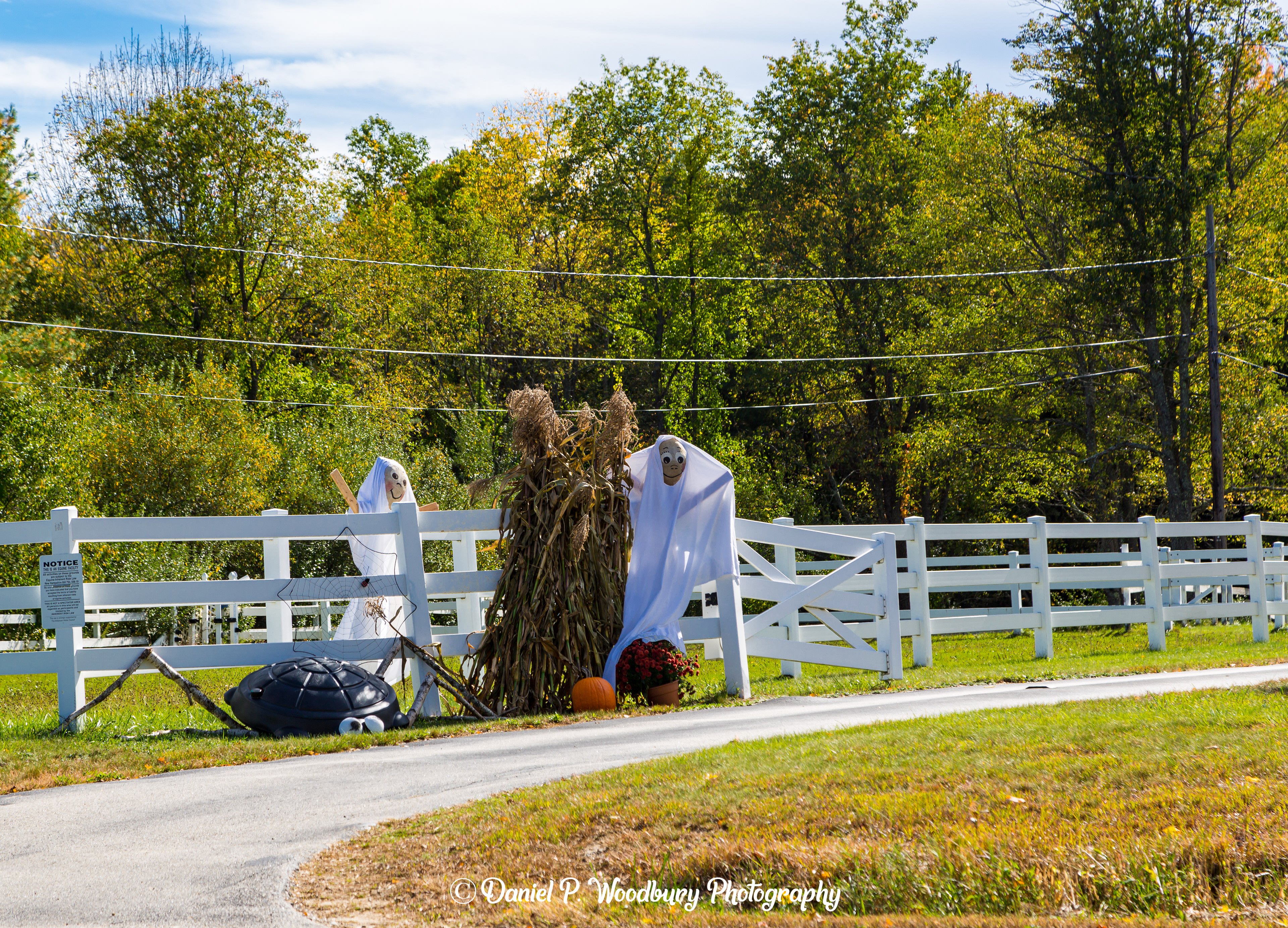 Ghost Scarecrows