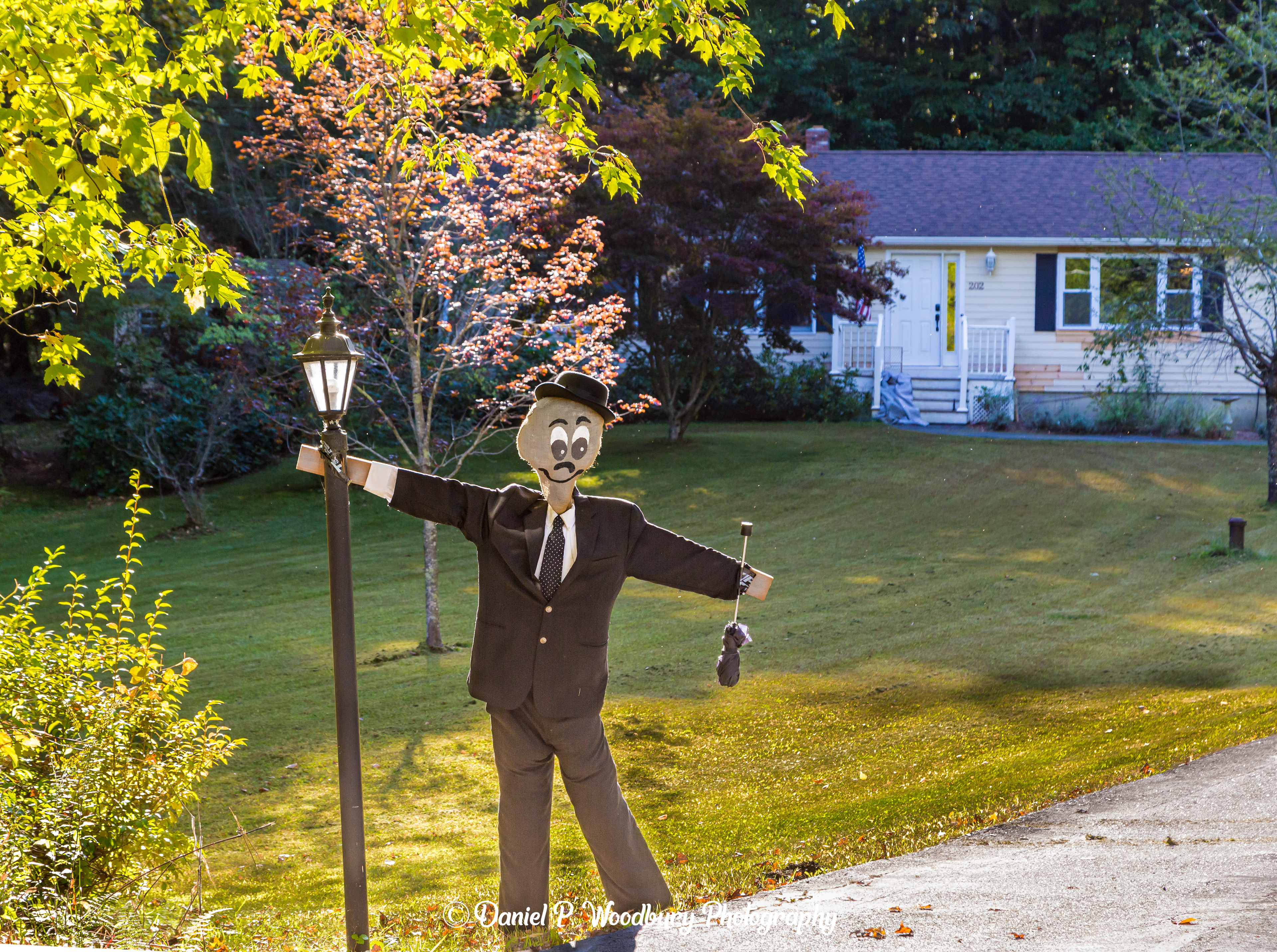Gene Kelly Scarecrow
