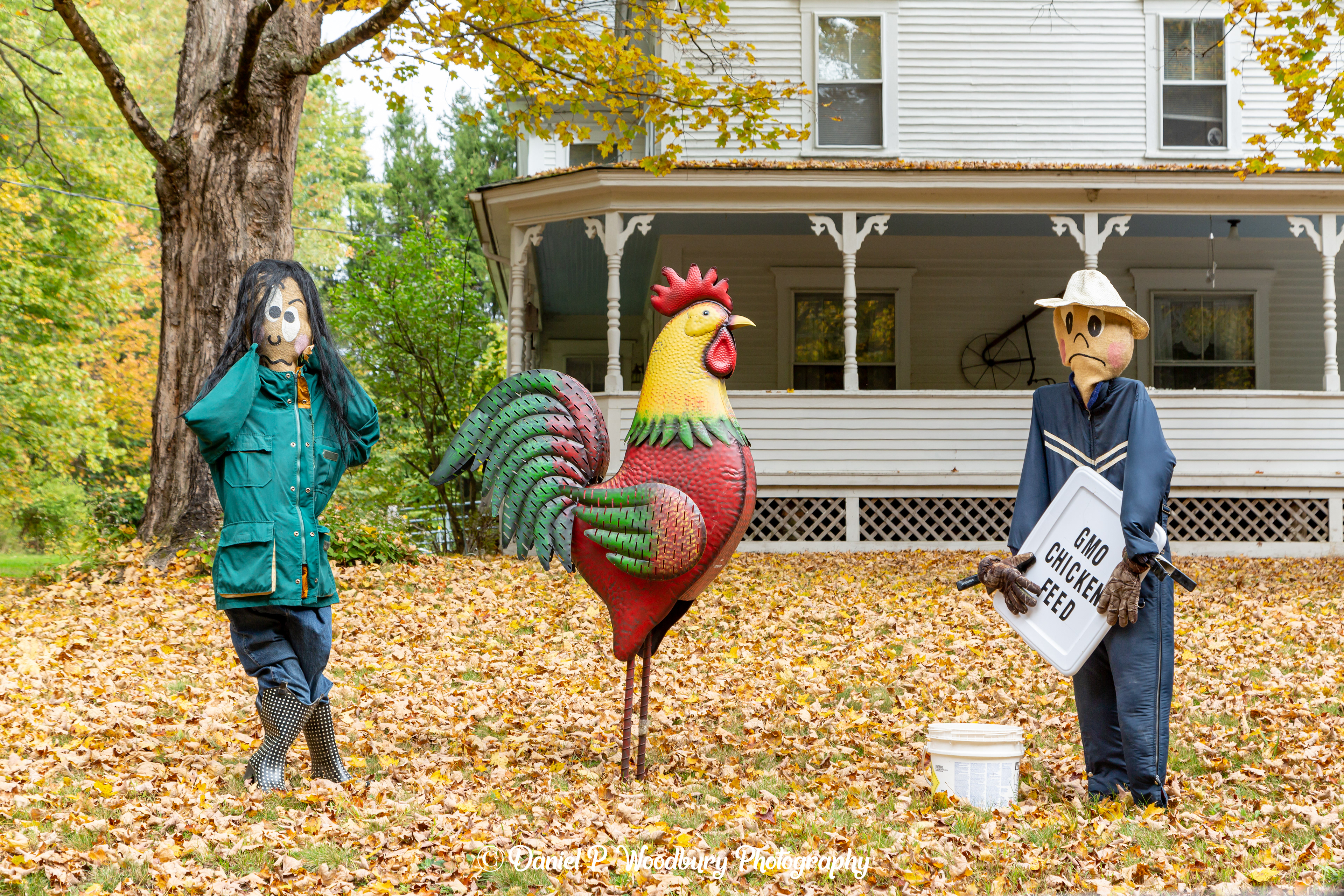 Chicken Feedin' Scarecrows
