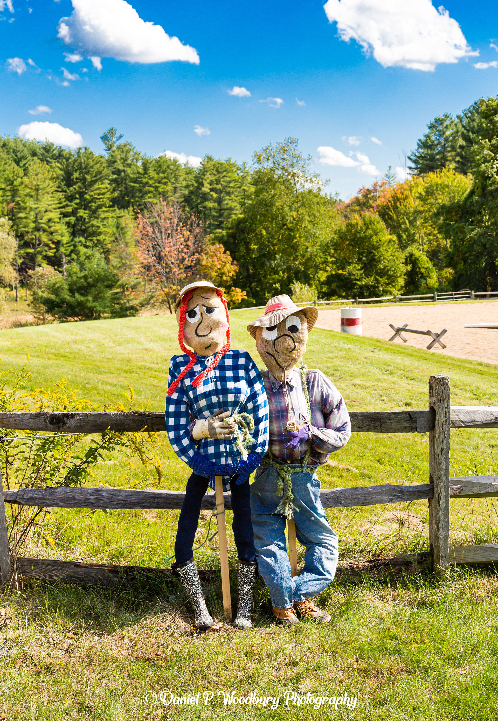 Horse Farmin' Scarecrows
