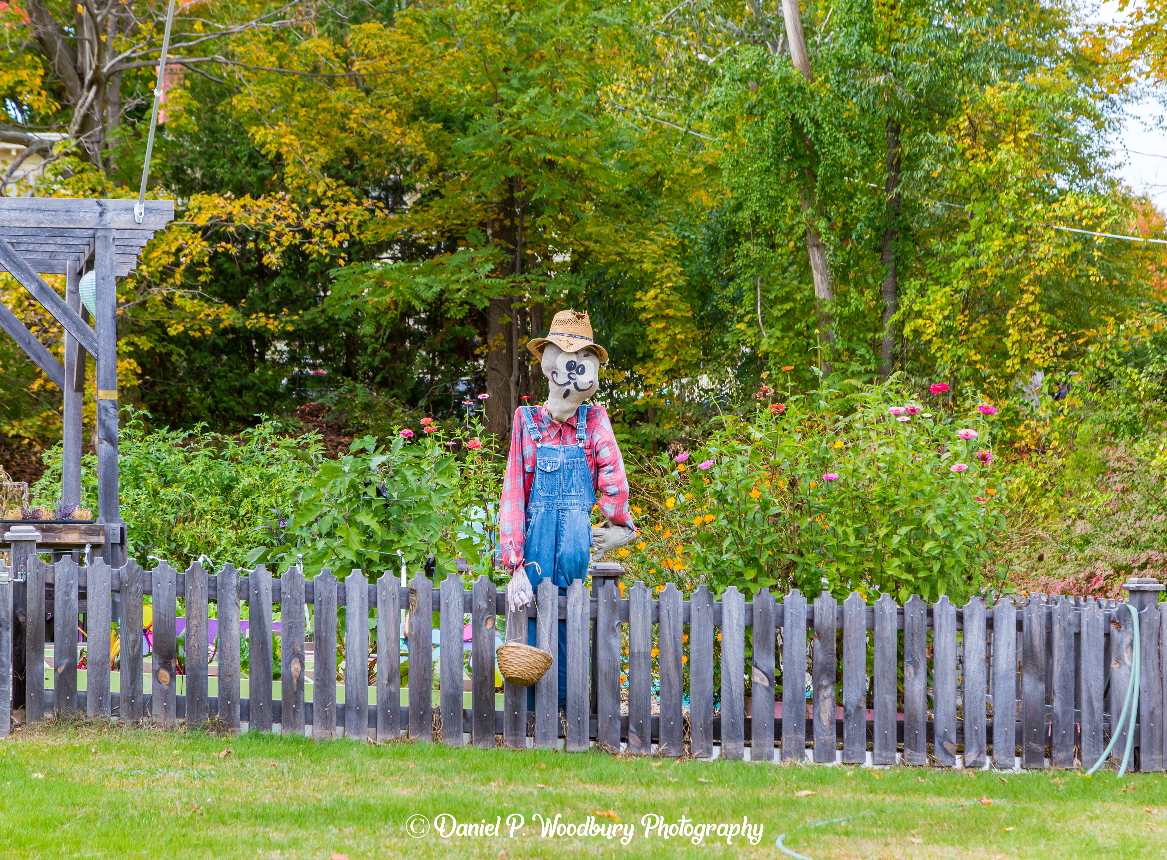 Gardenin' Scarecrow