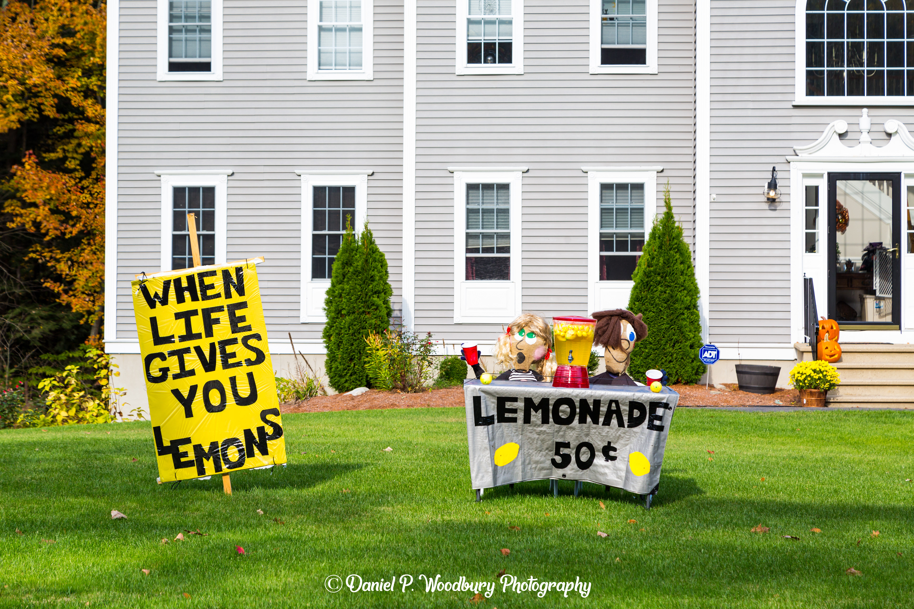 Lemonade Scarecrows