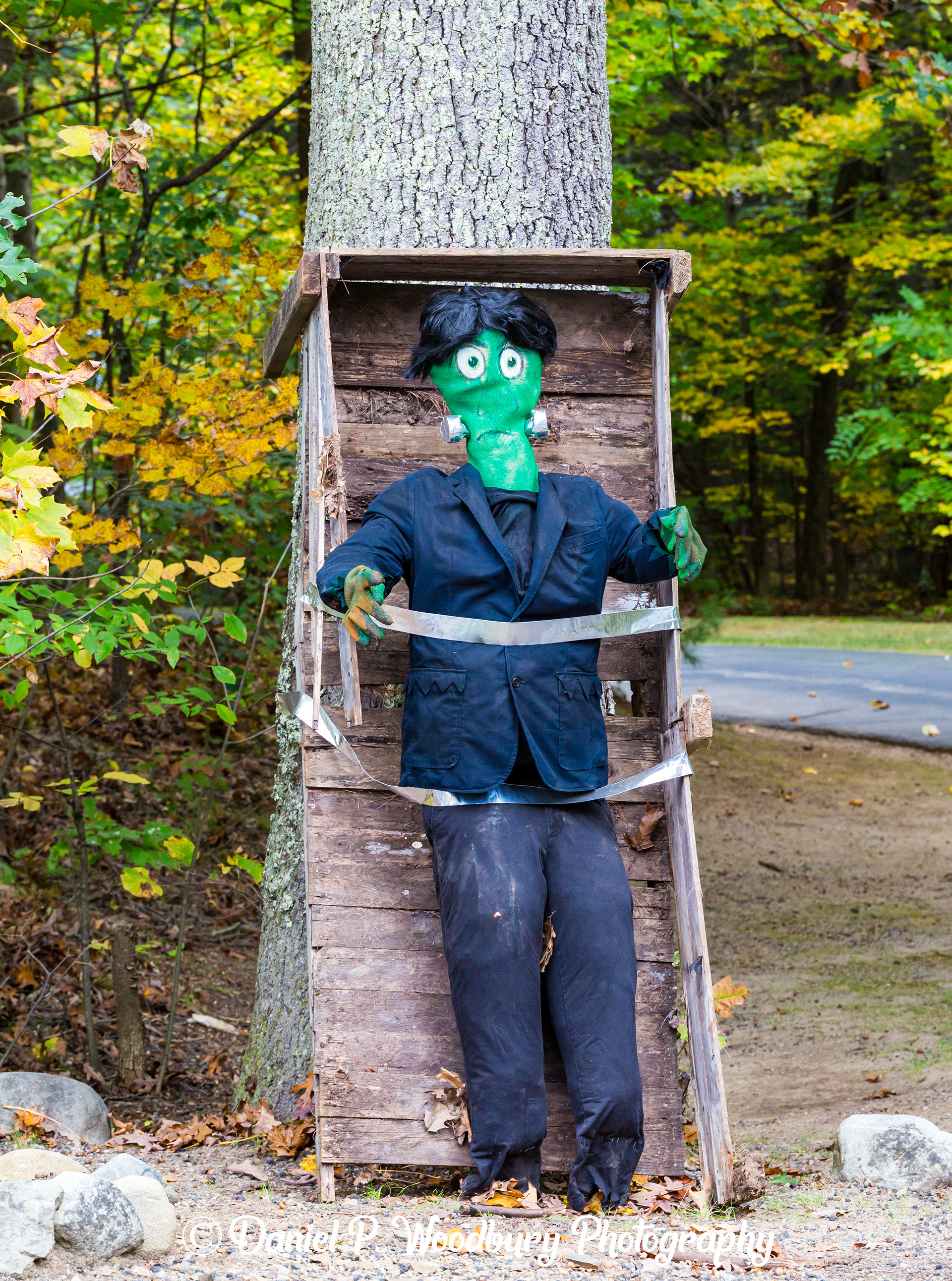 Frankenstein Scarecrow