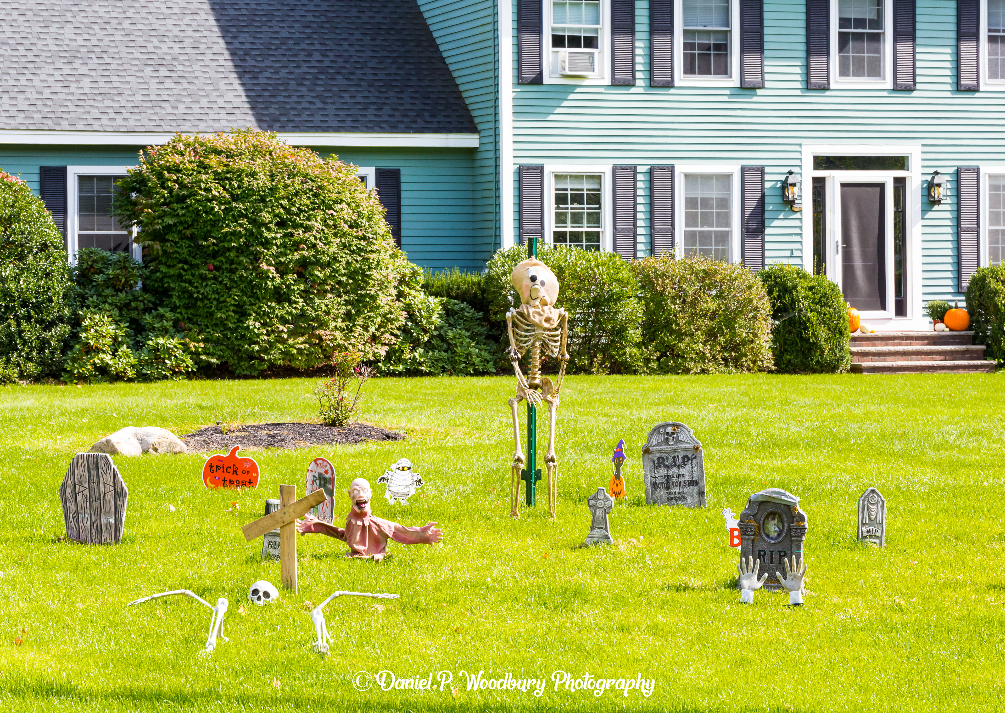 Skeleton Scarecrow