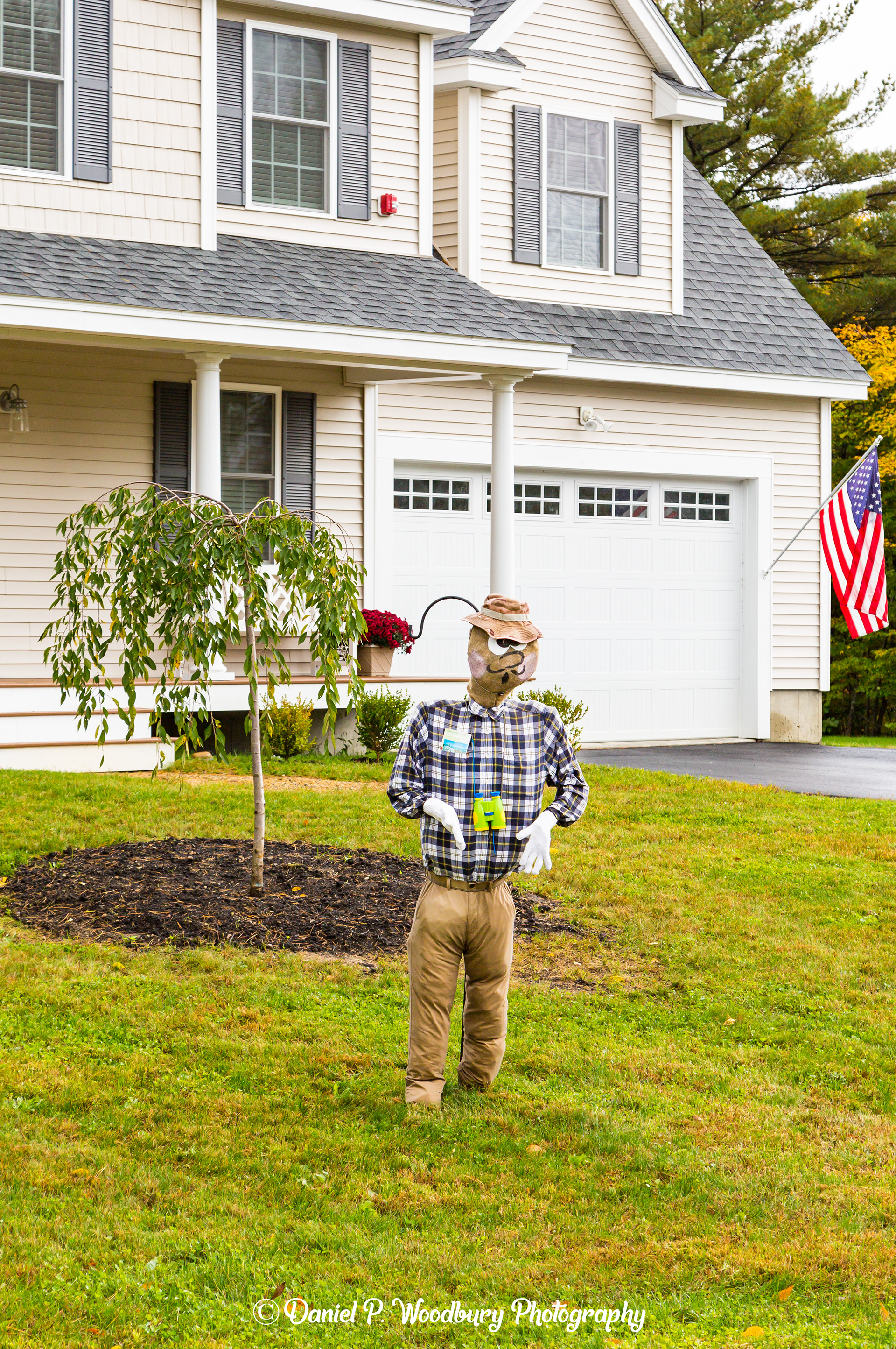 Bird Watchin' Scarecrow