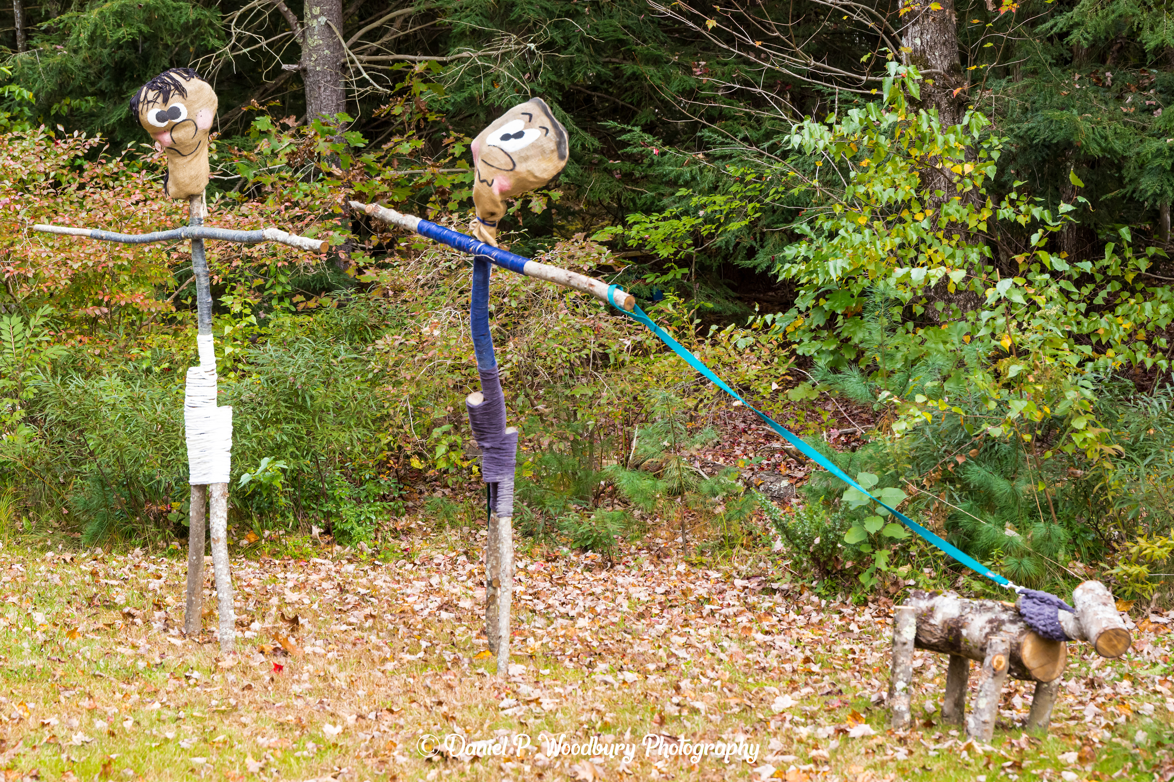 Skinny Dog Walkin' Scarecrows