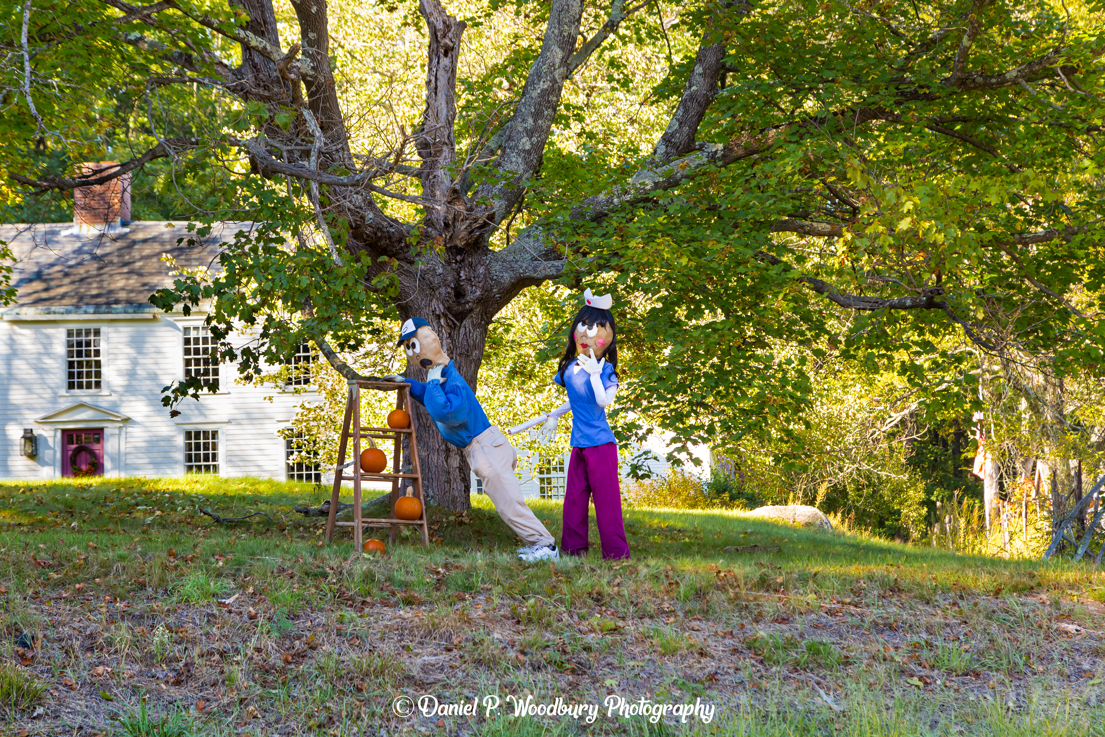 Nurse & Patient Scarecrows