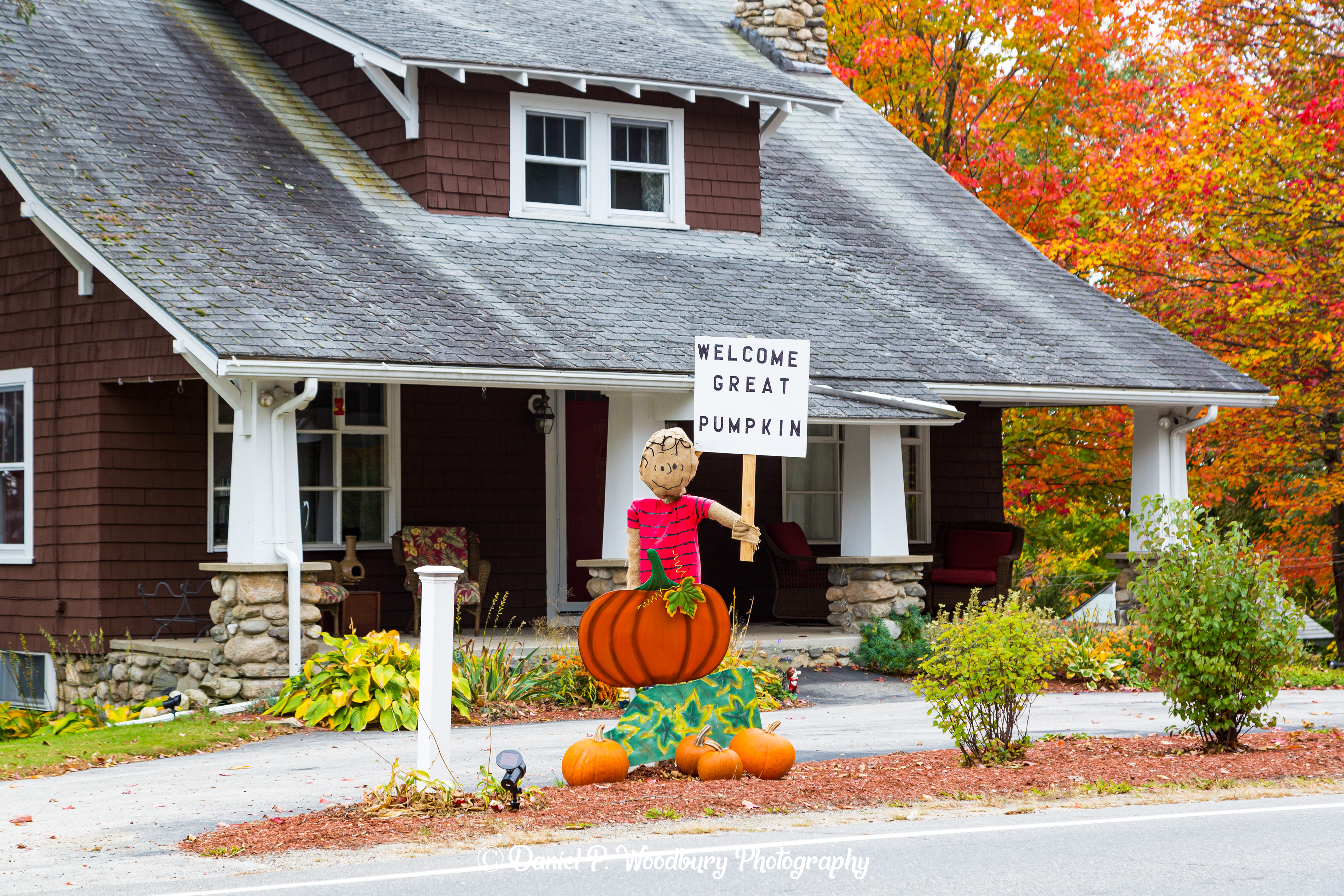 Peanuts Scarecrow