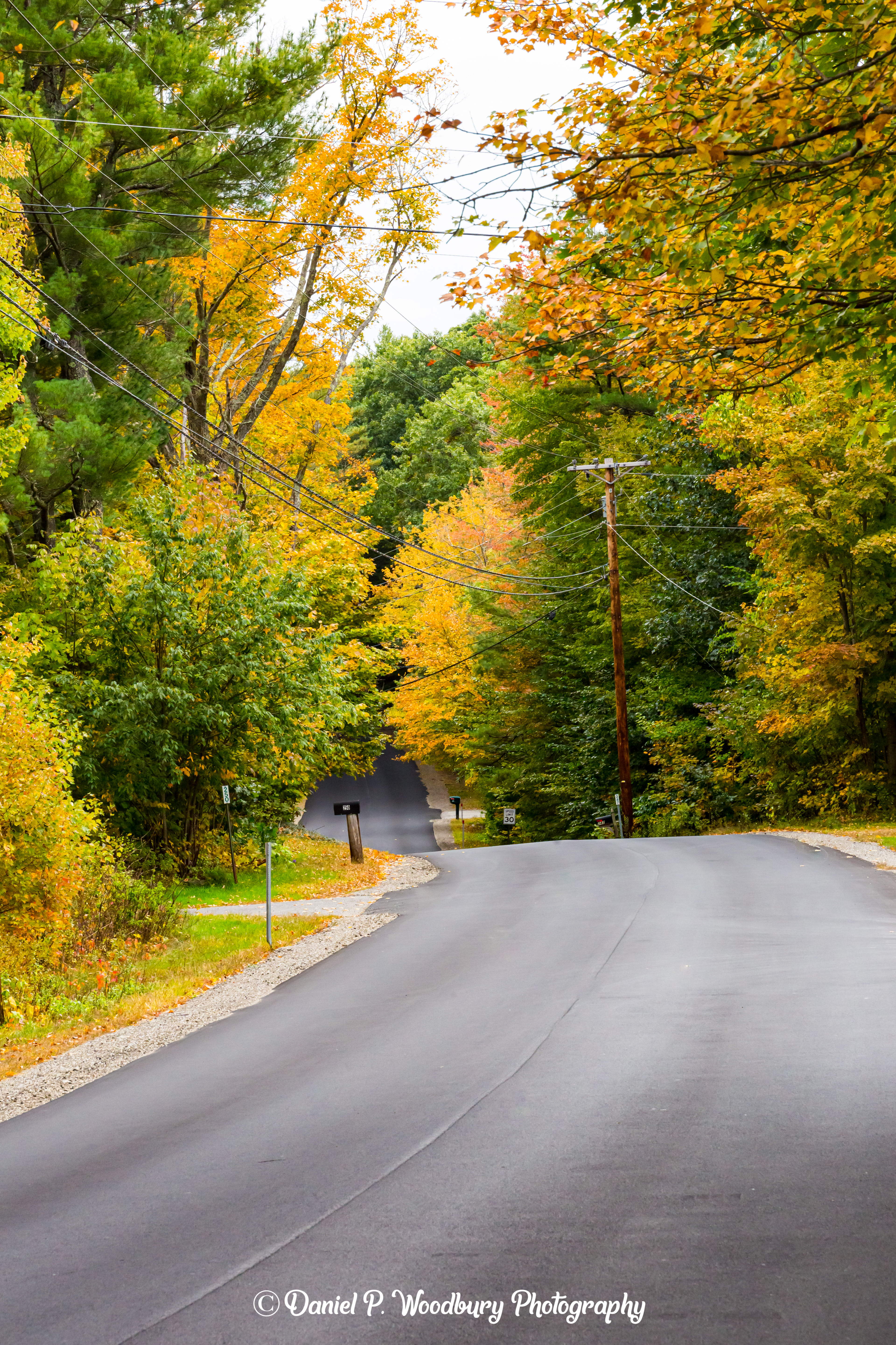 Chester, NH Foliage