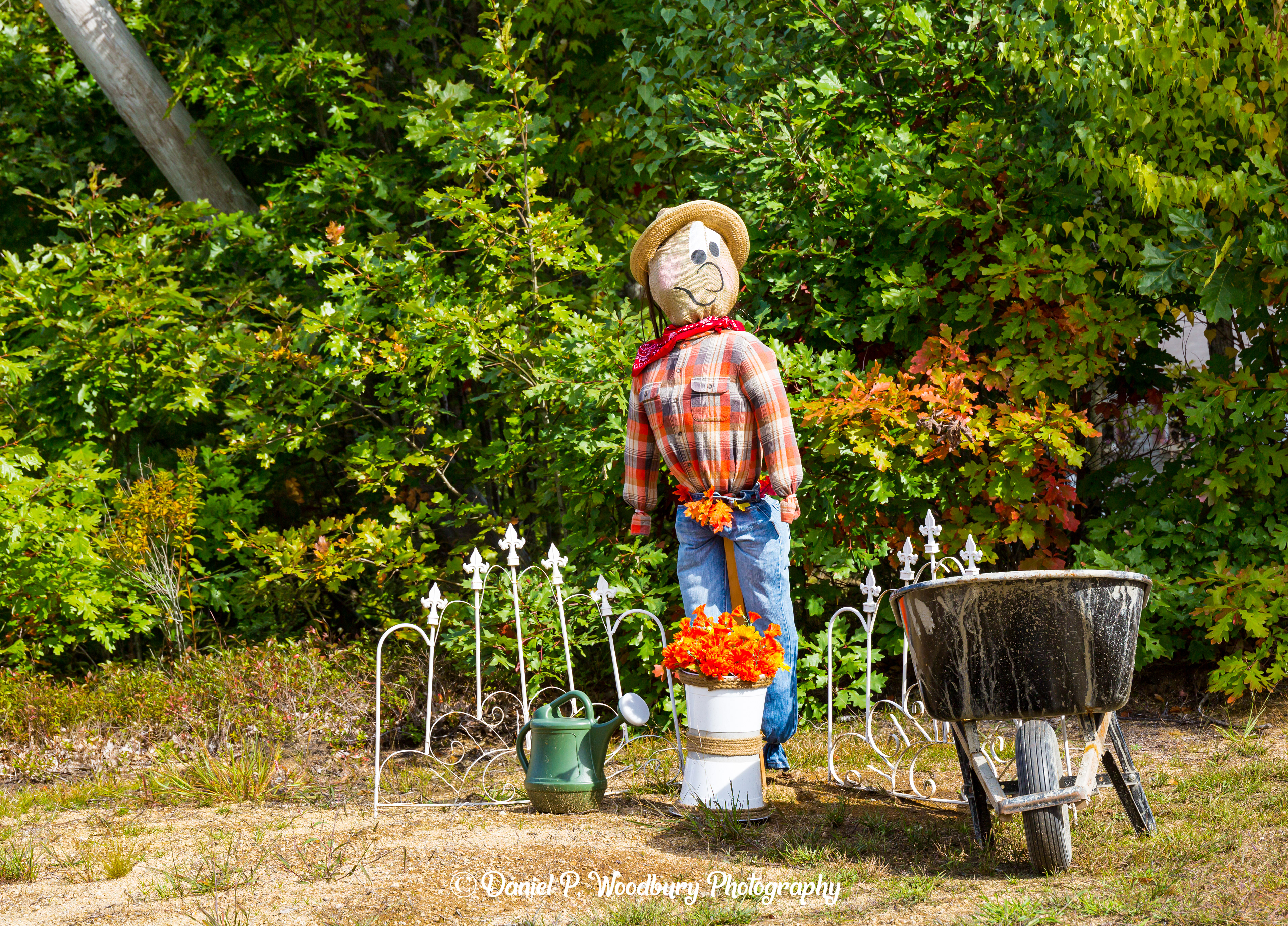 Gardenin' Scarecrow