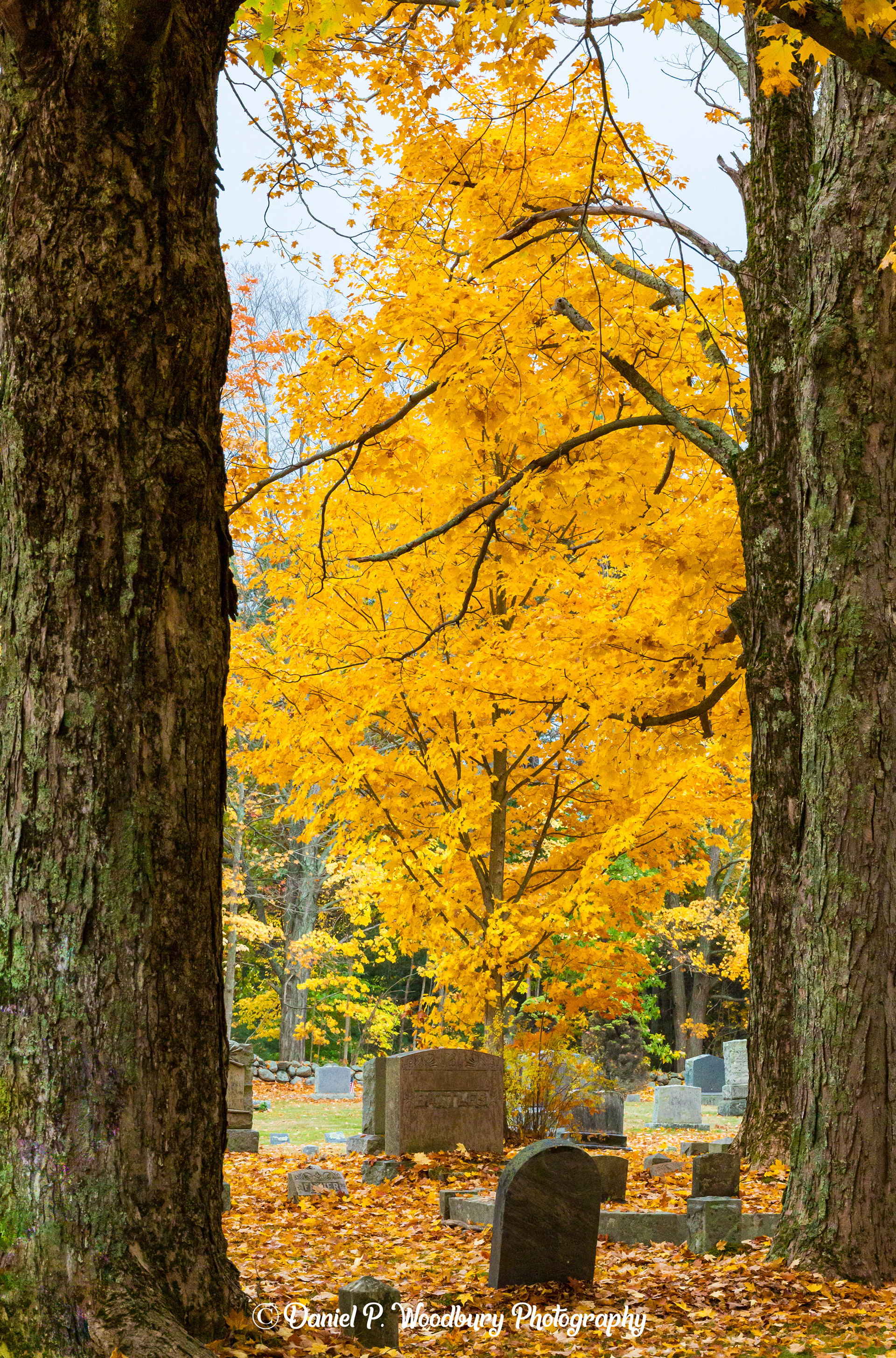 Autumn At Highland Cemetery-Newton, NH