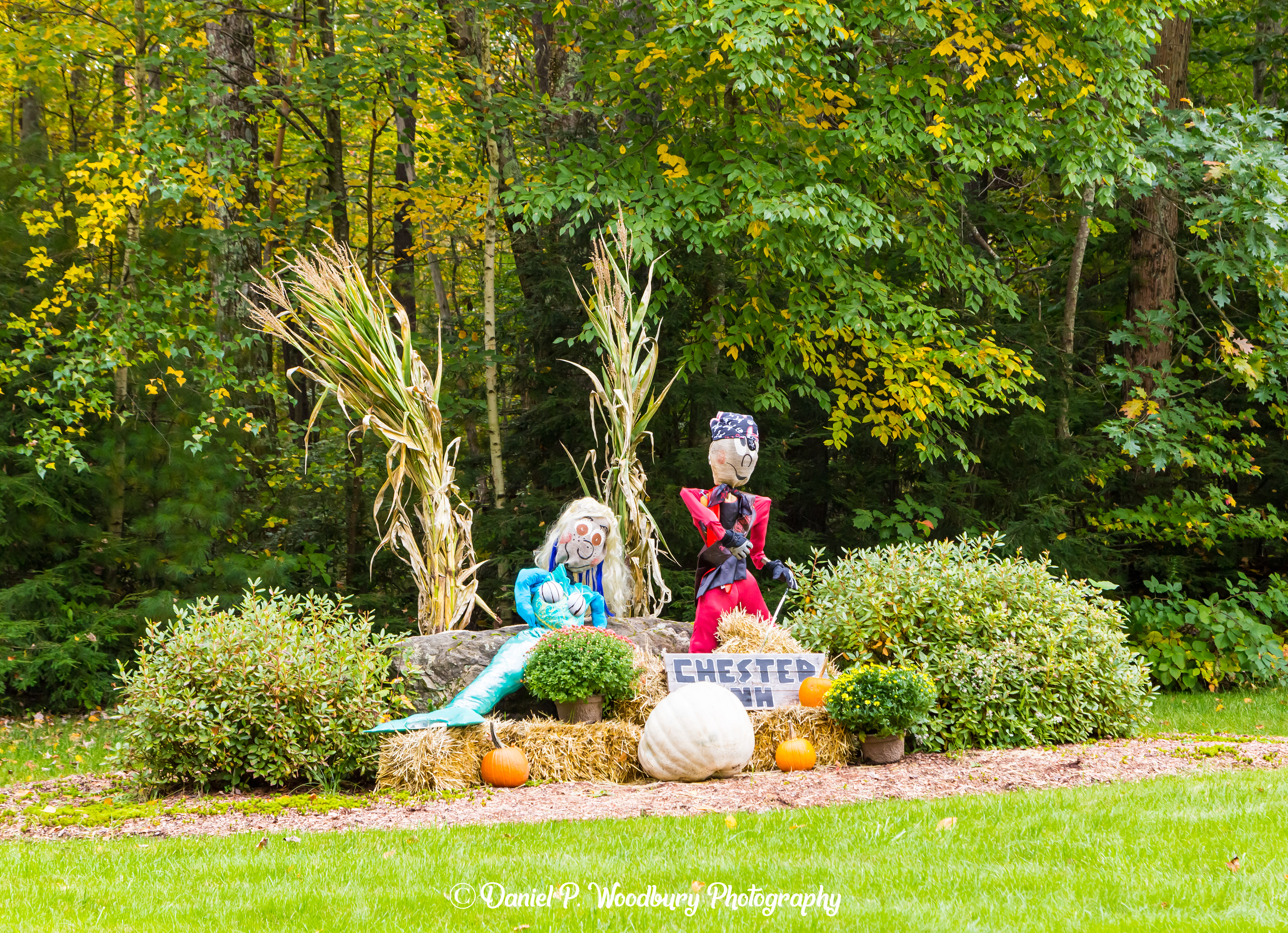 Mermaid & Pirate Scarecrows