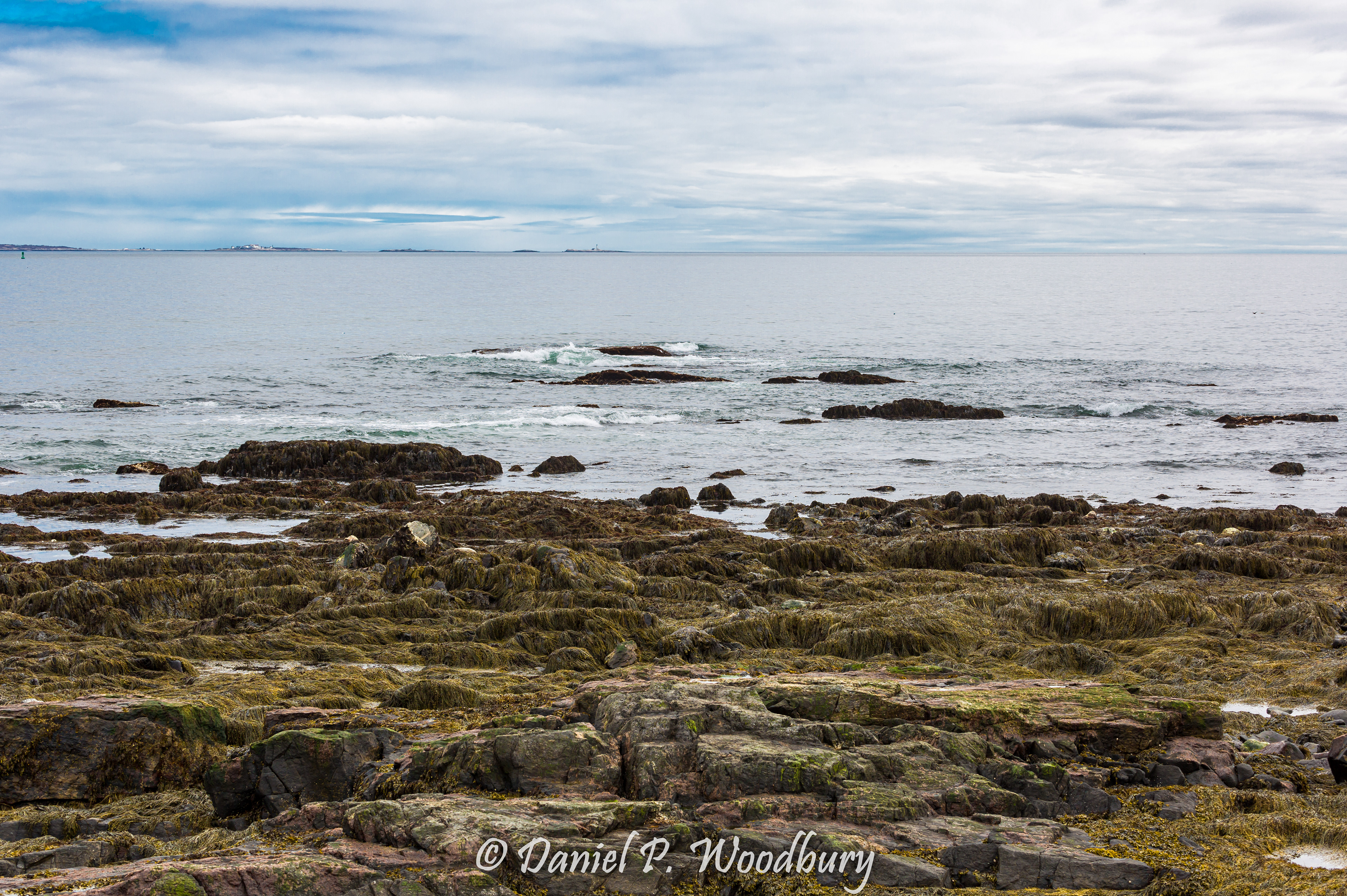 Along The Sea In Rye, NH