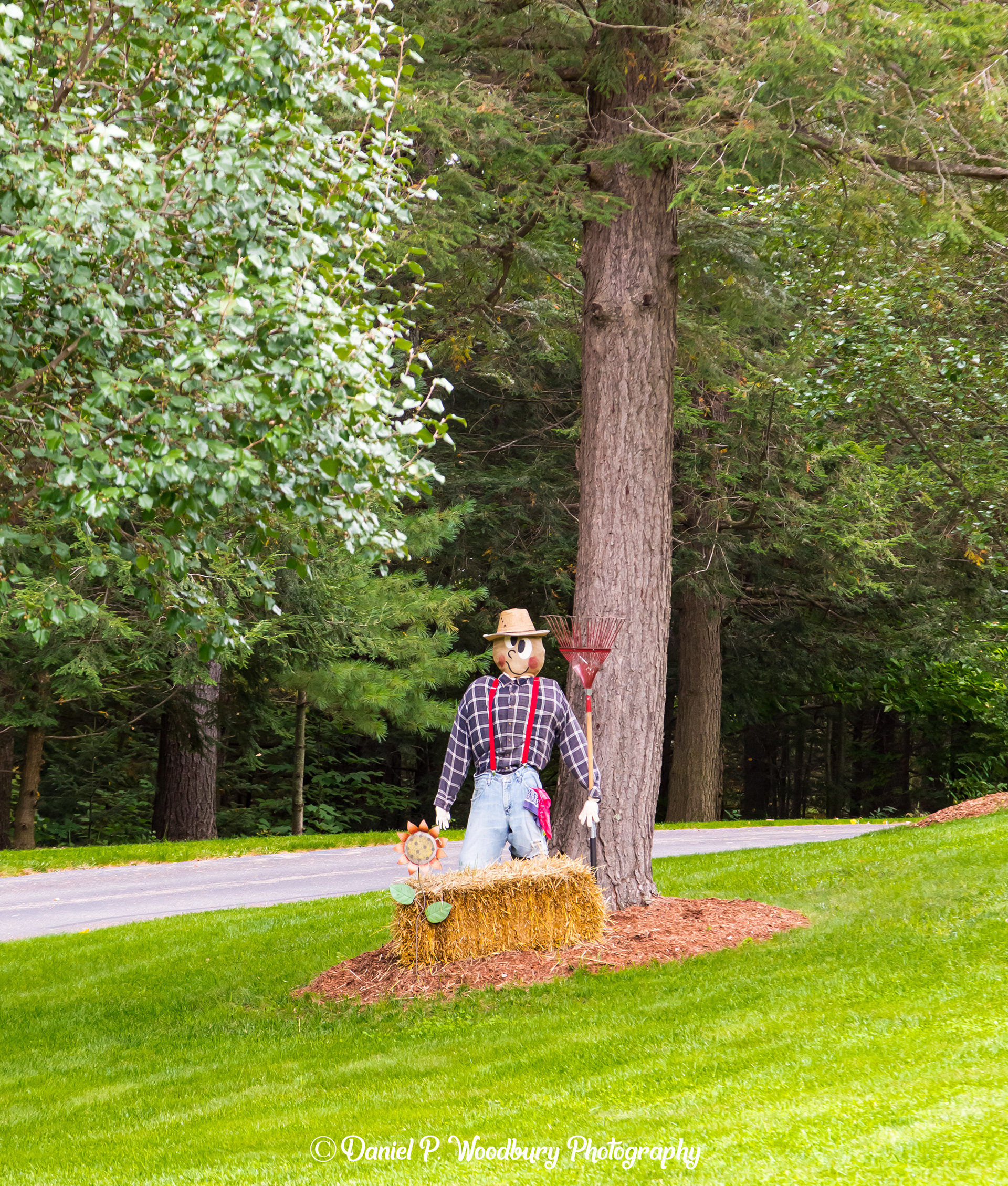 Rakin' Scarecrow