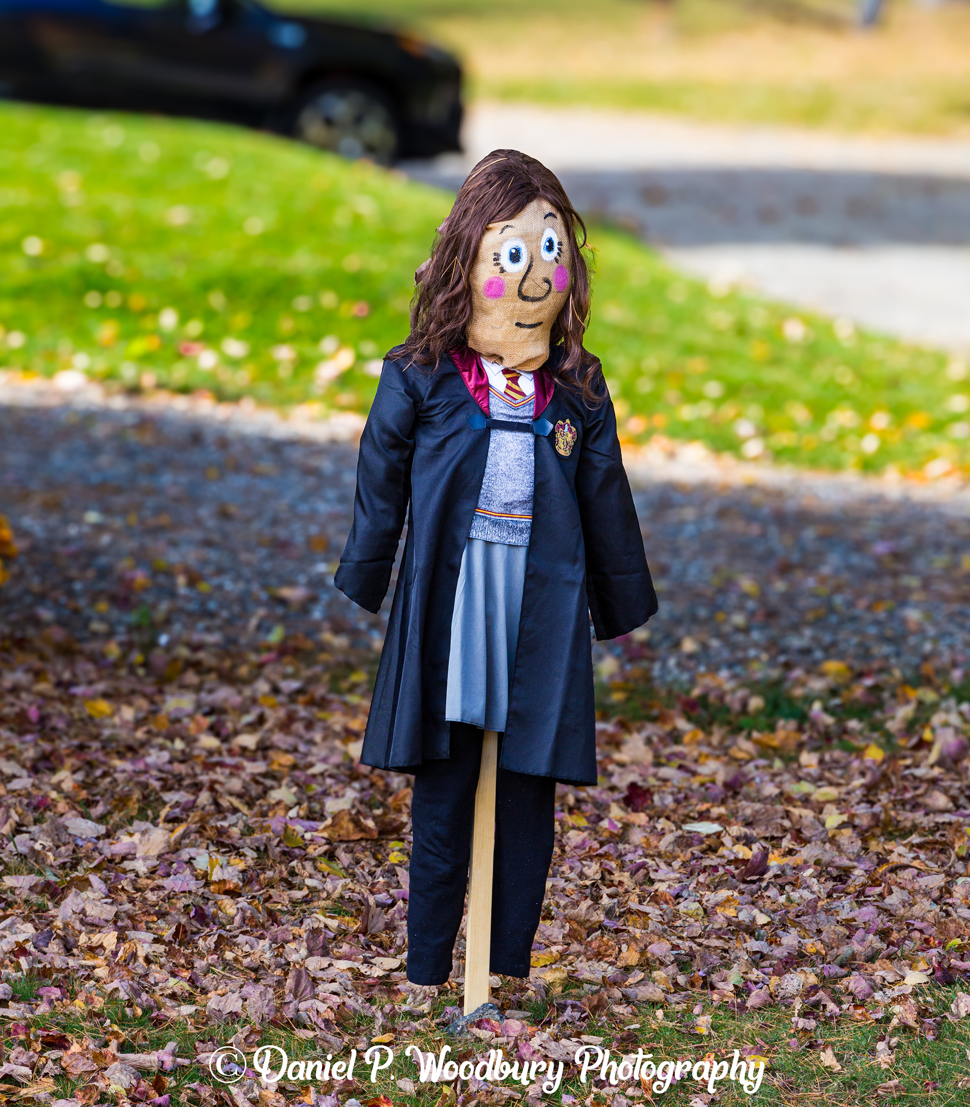 Hermione Granger Scarecrow
