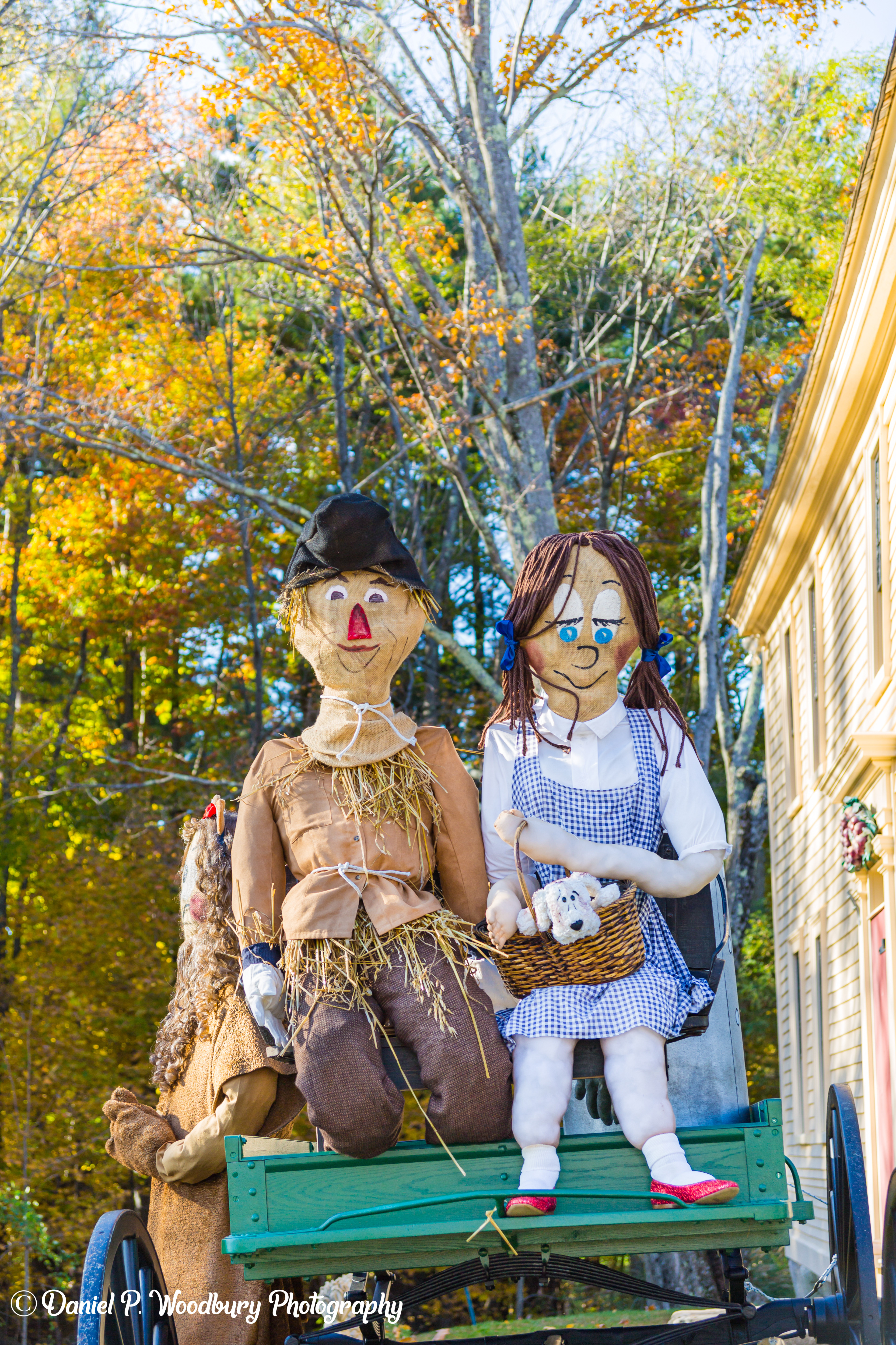 The Wizard Of Oz Scarecrows