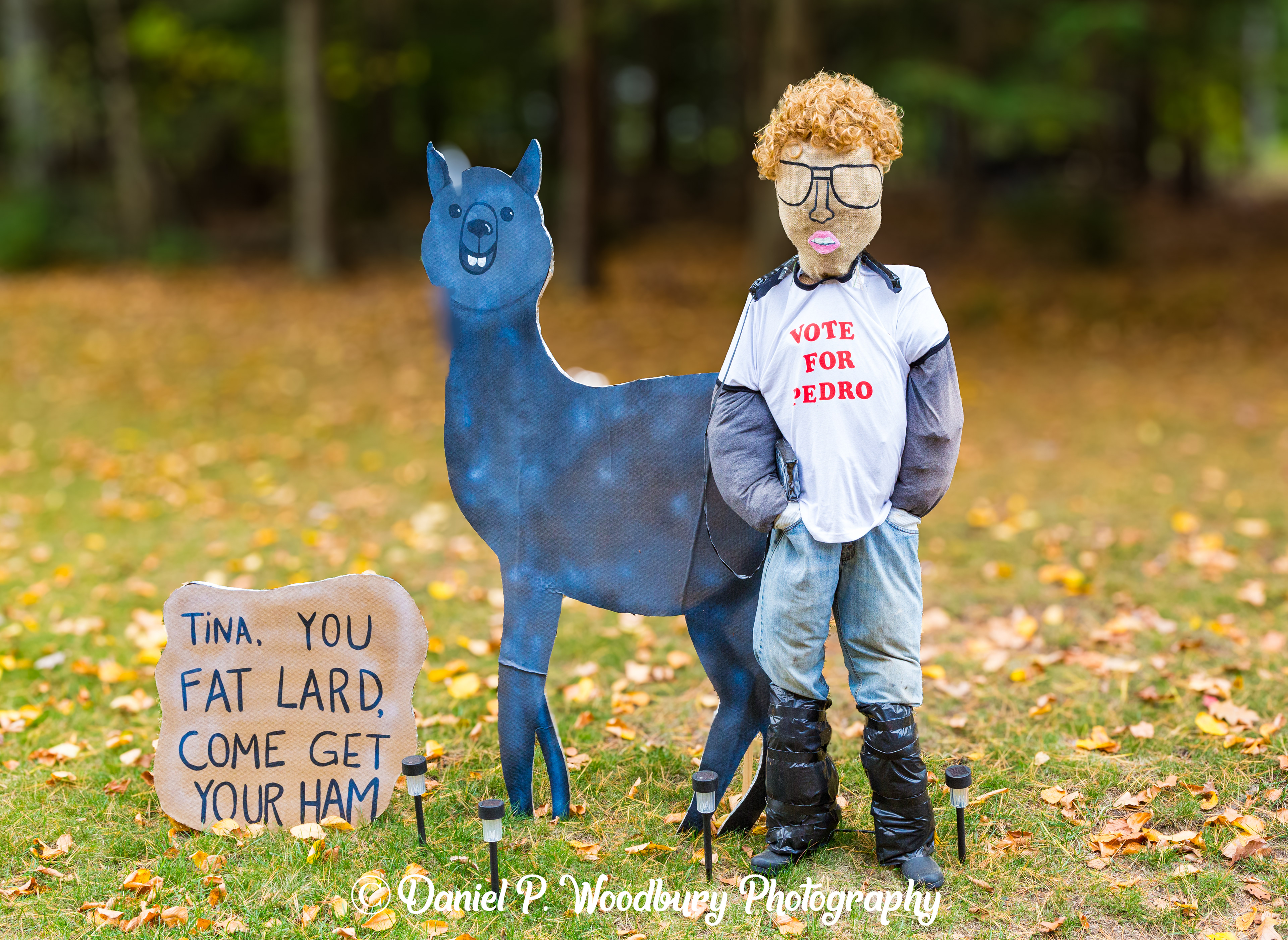 Napoleon Dynamite Scarecrow