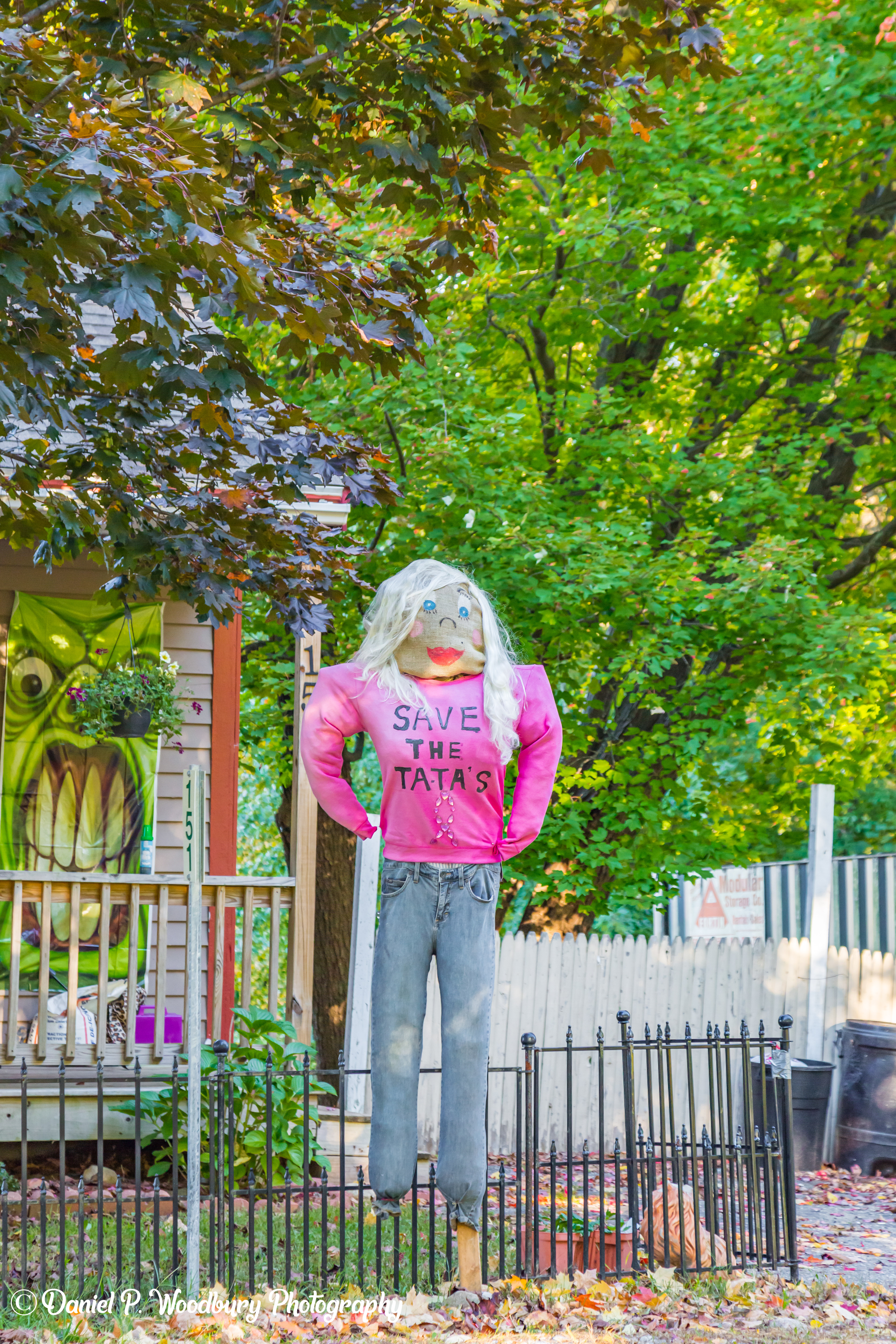 Survivor Scarecrow