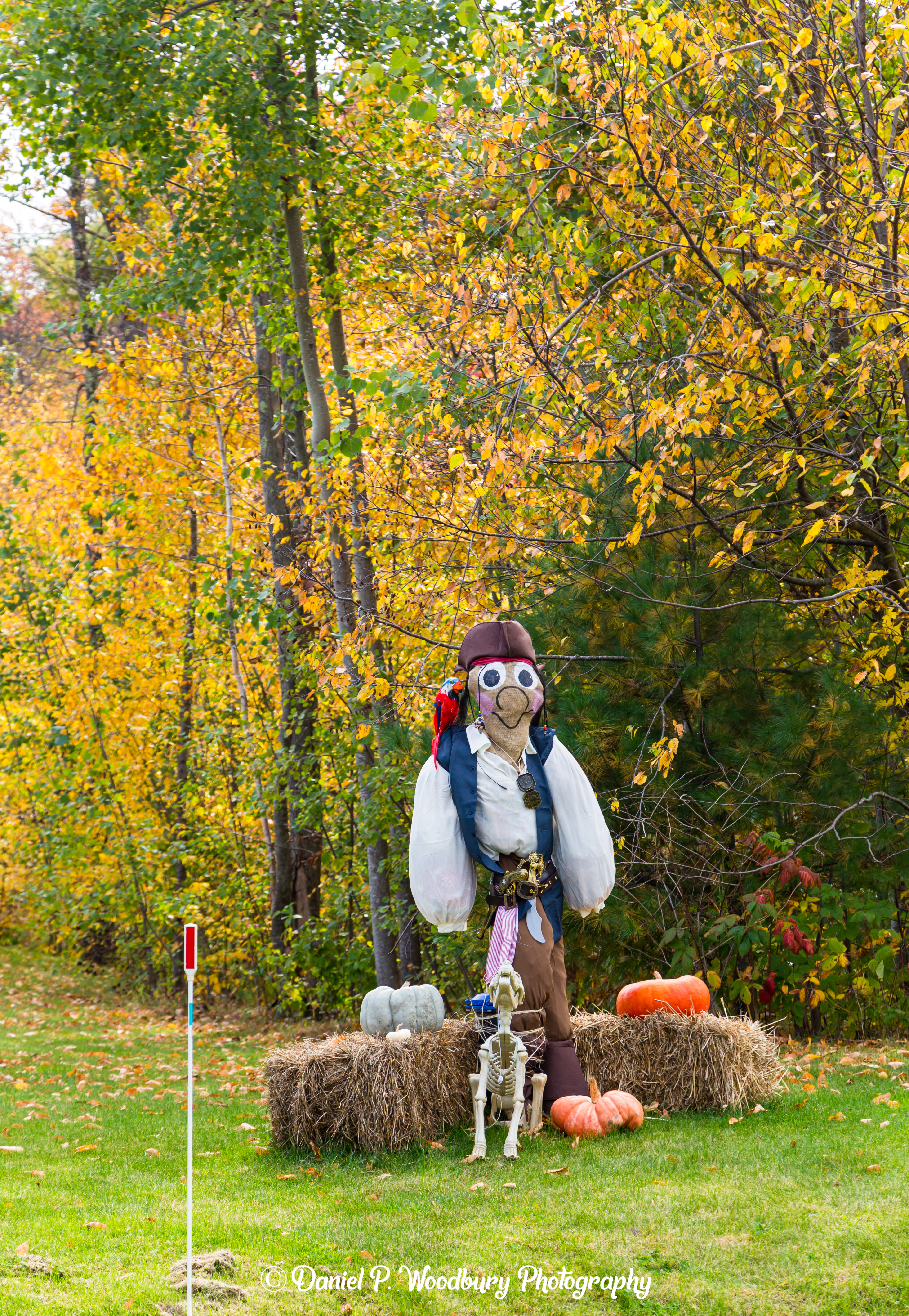 Pirate Scarecrow