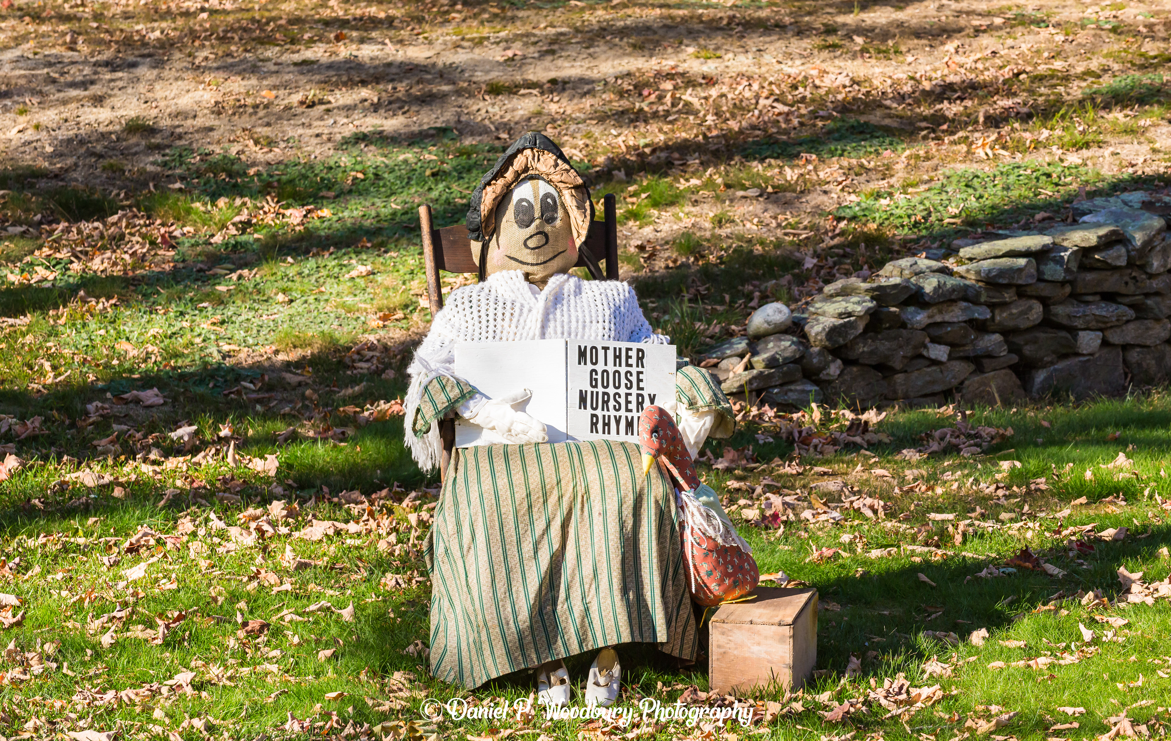 Mother Goose Readin' Scarecrow