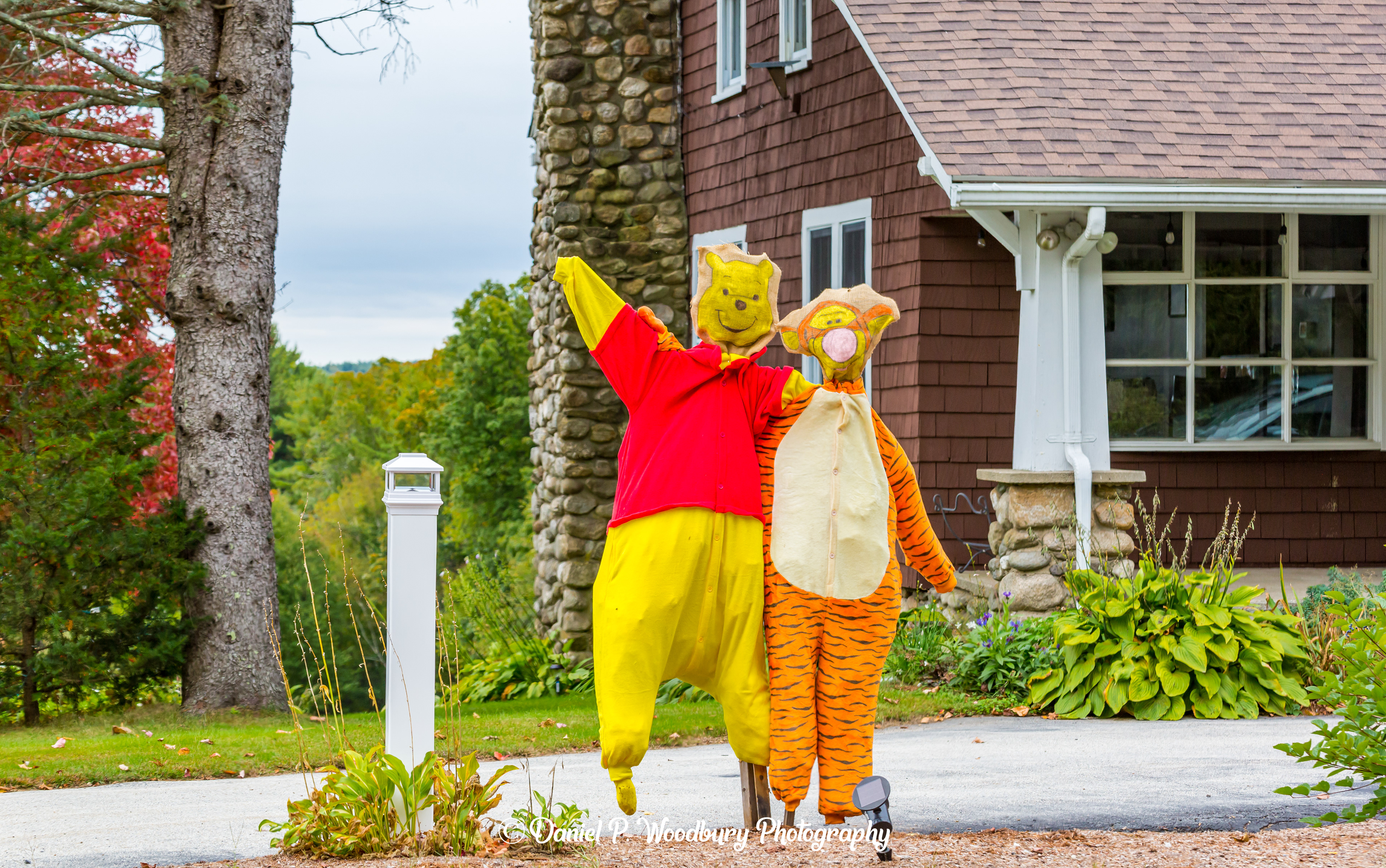 Winnie The Pooh & Tigger, Too Scarecrows