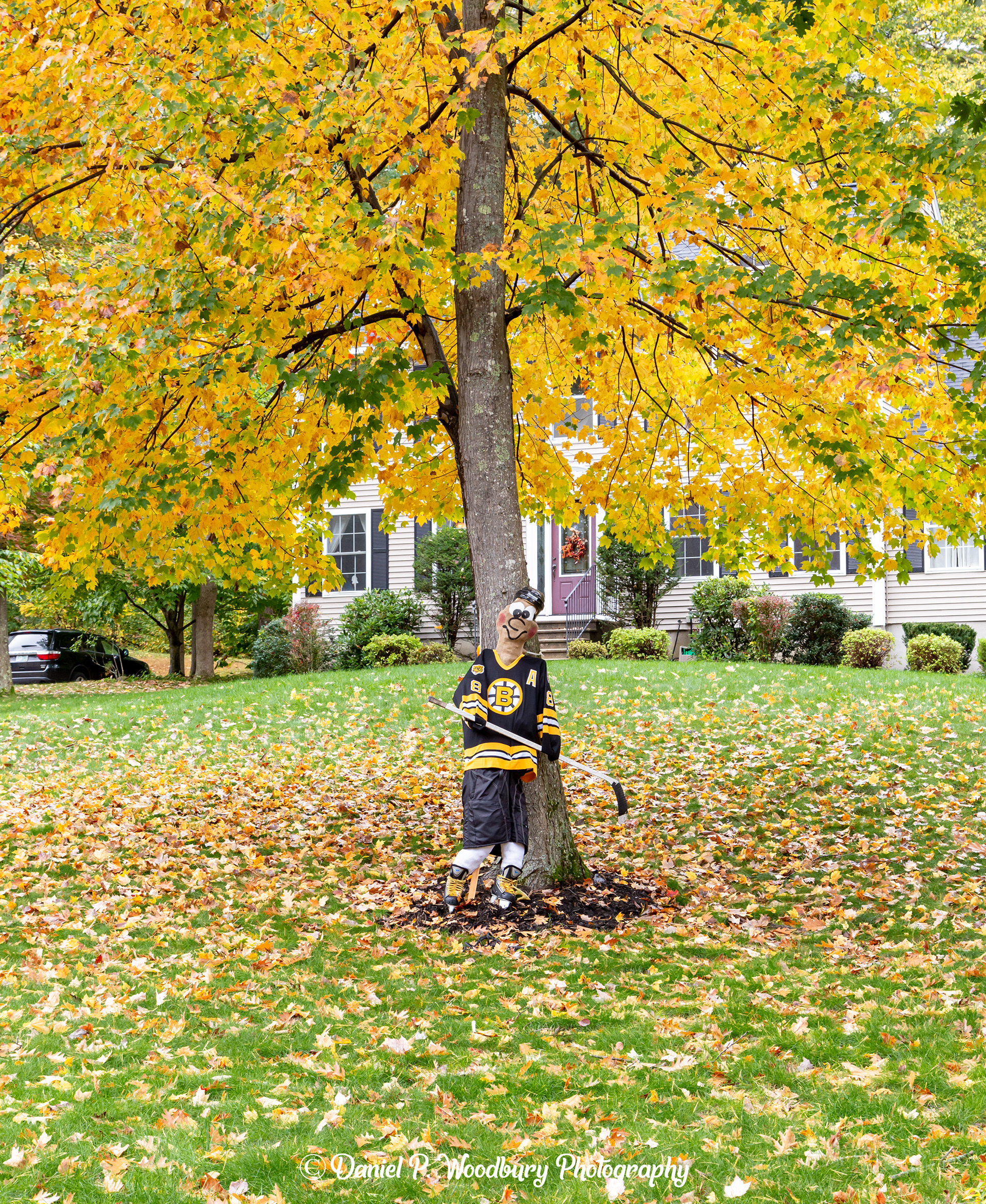 Neely Bruins Fan Scarecrow