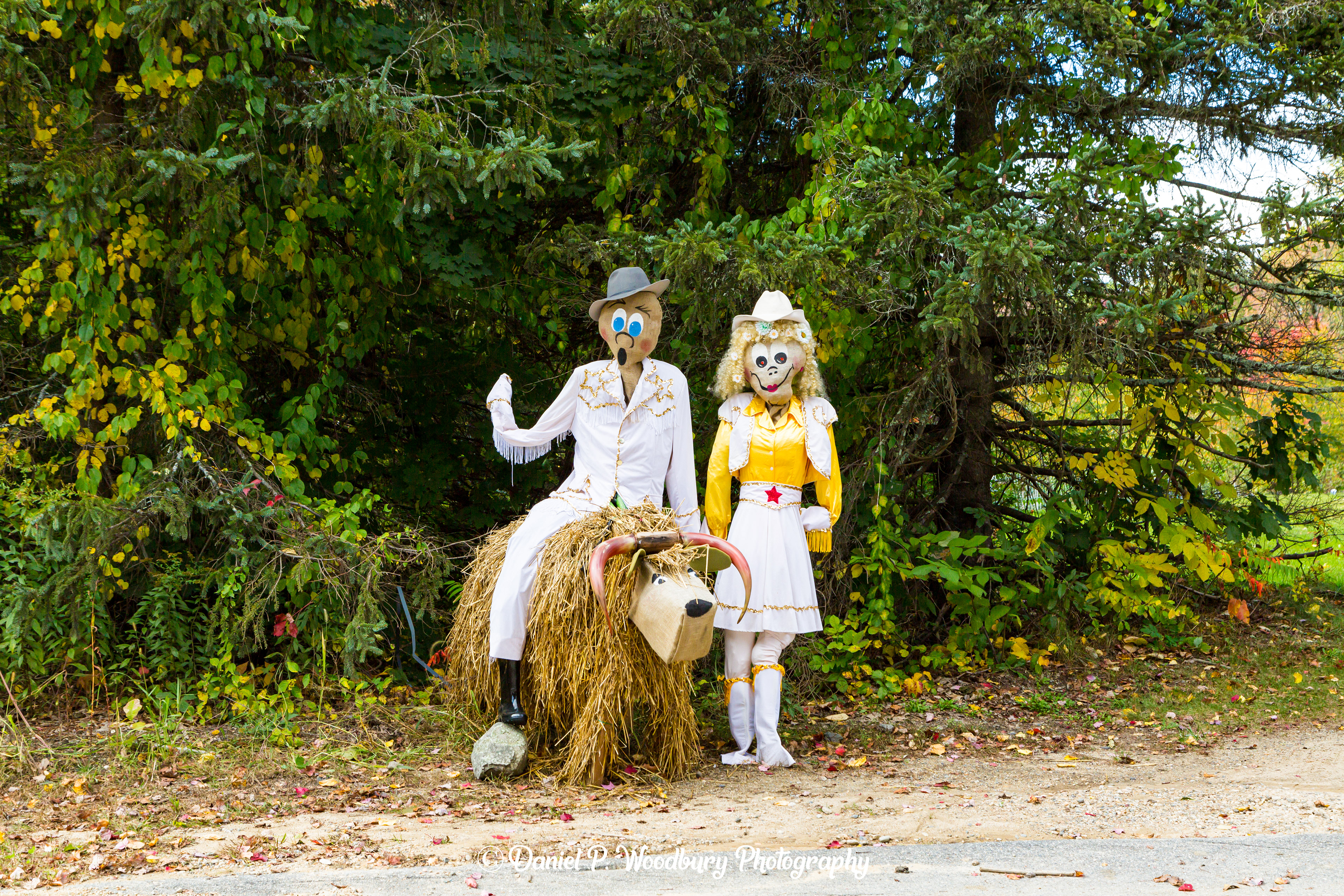 Rodeo Scarecrows