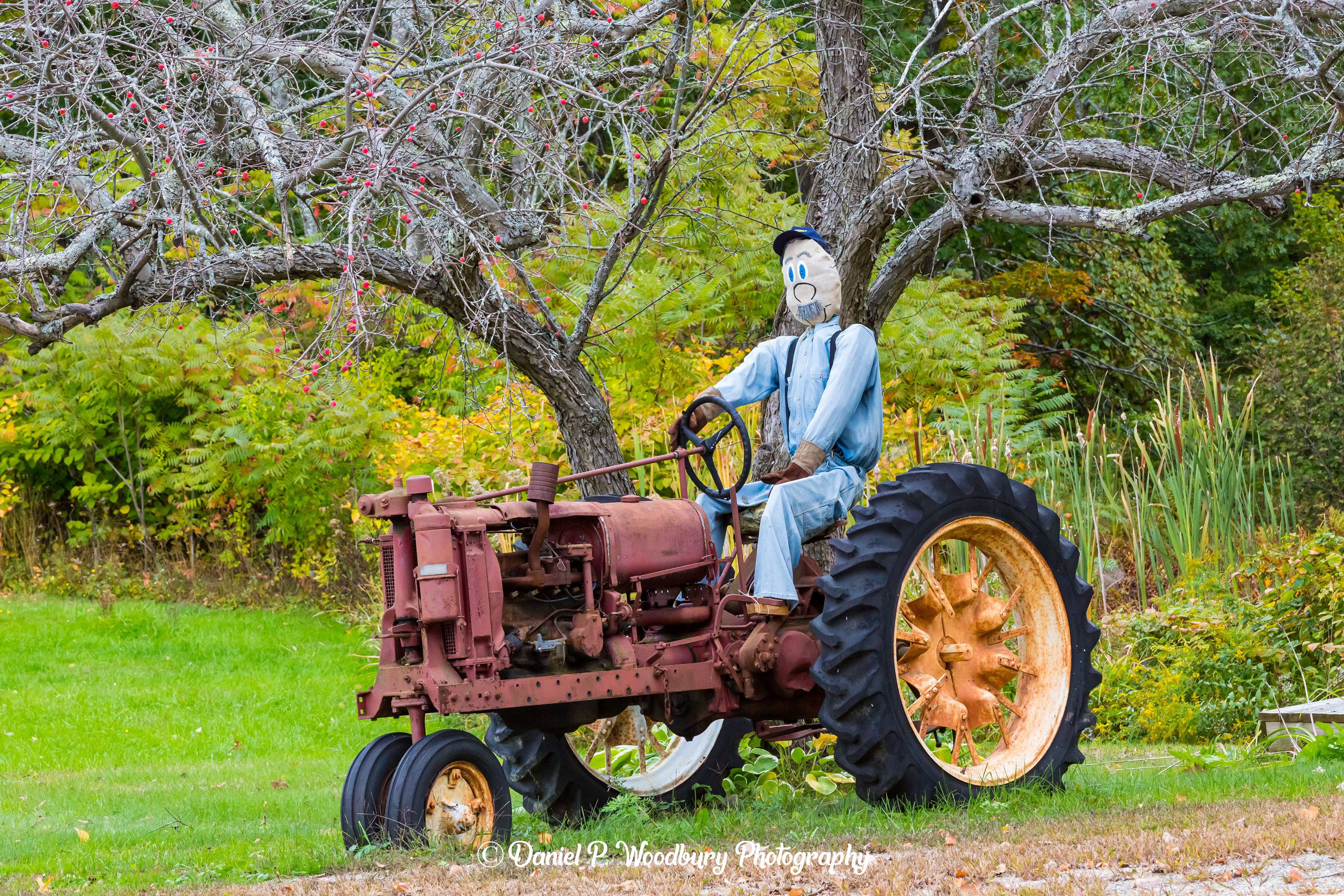 George, The Farmin' Scarecrow
