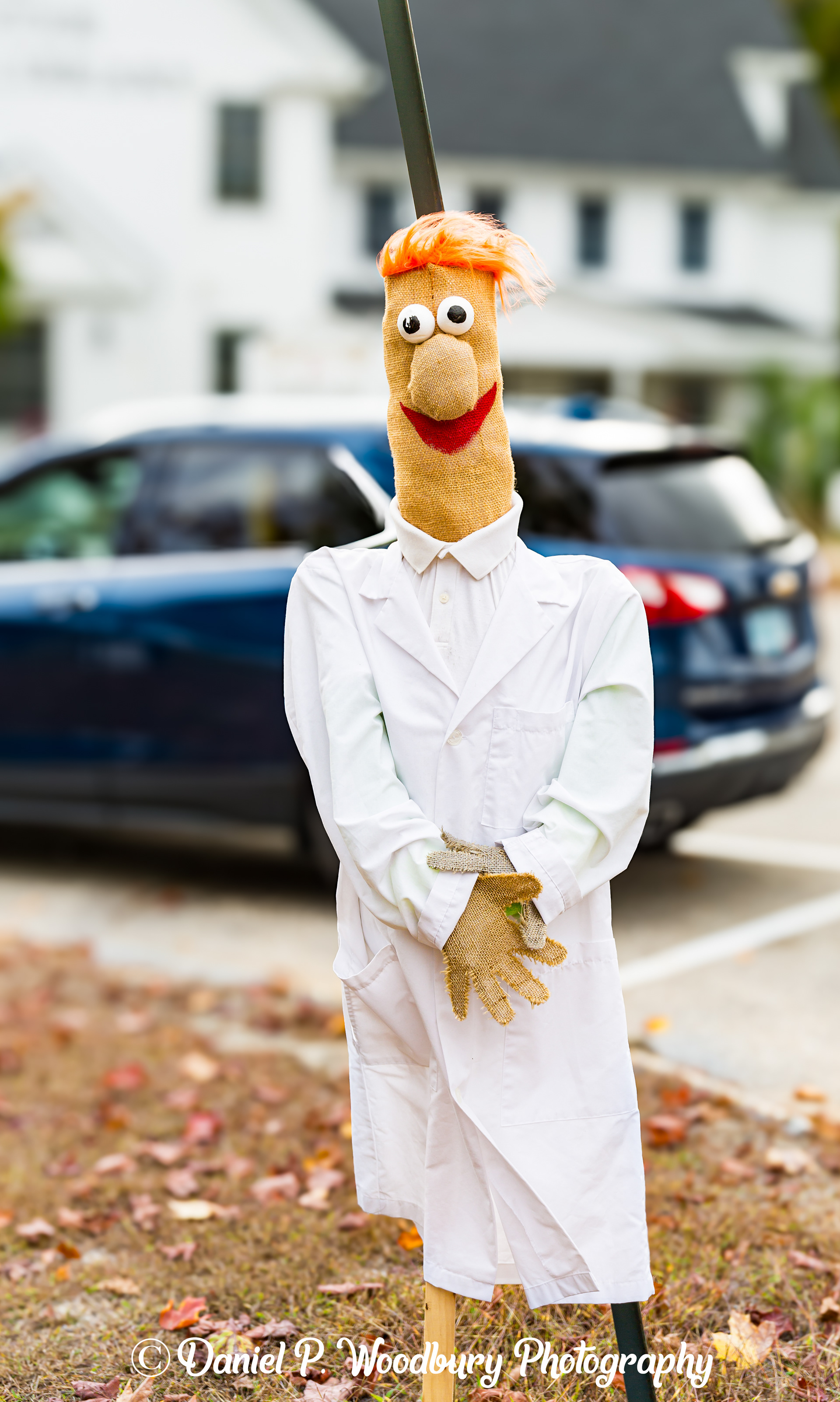Beaker Scarecrow