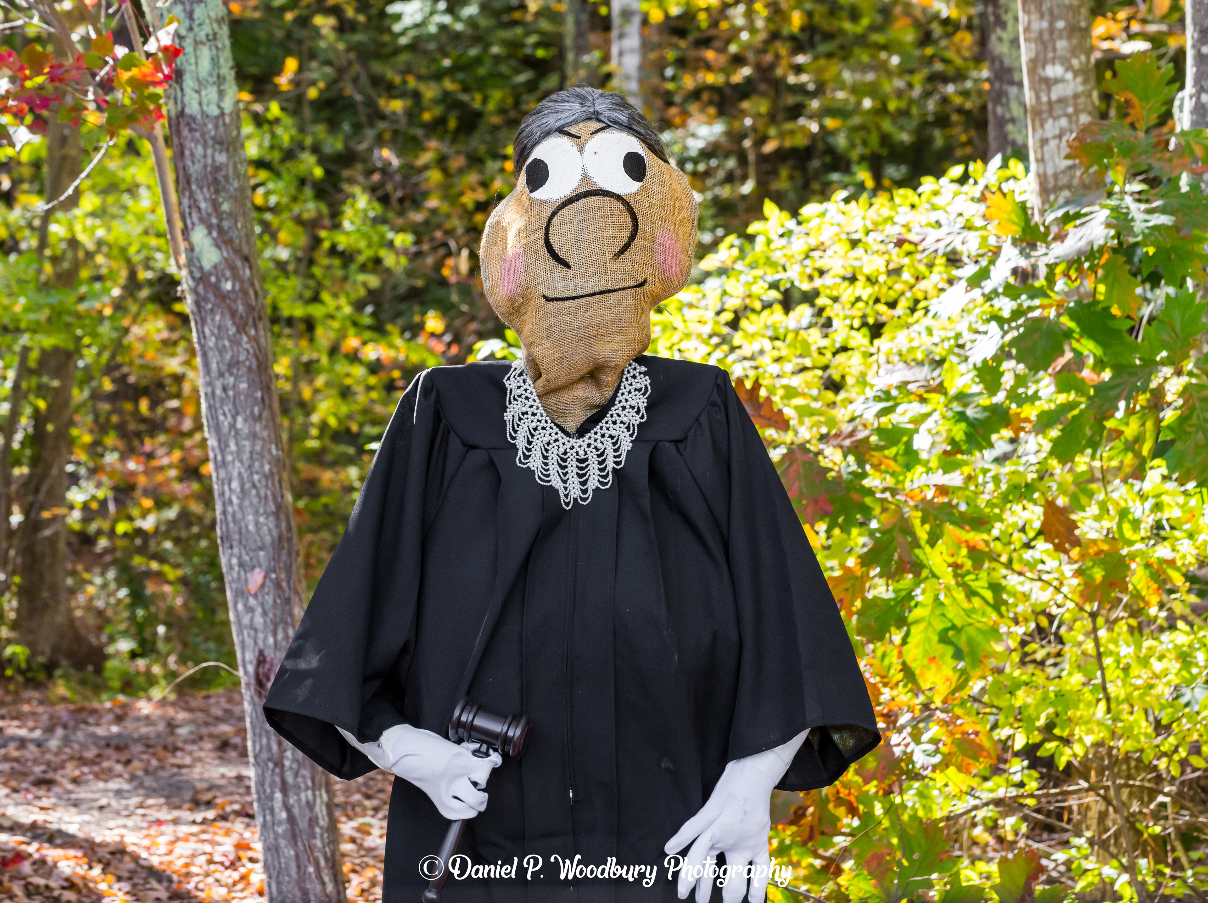 Ruth Ginsburg Scarecrow