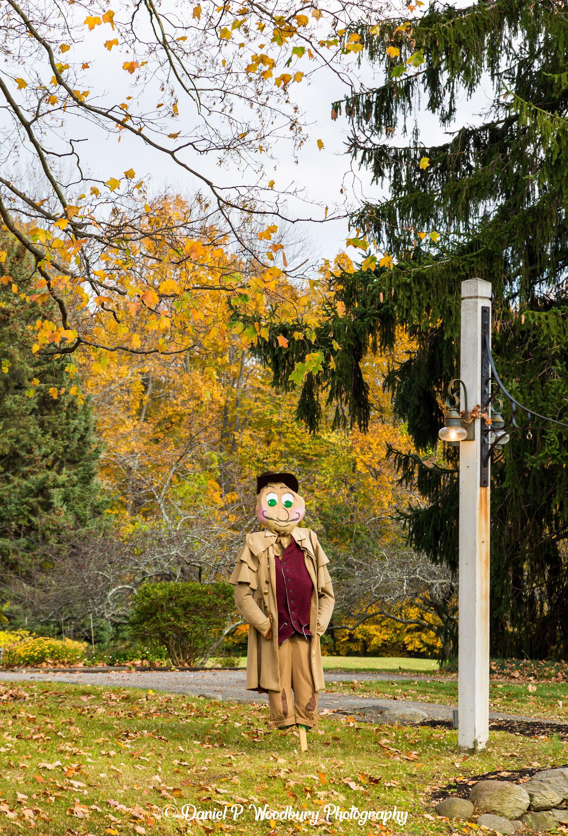 Well-Dressed Scarecrow