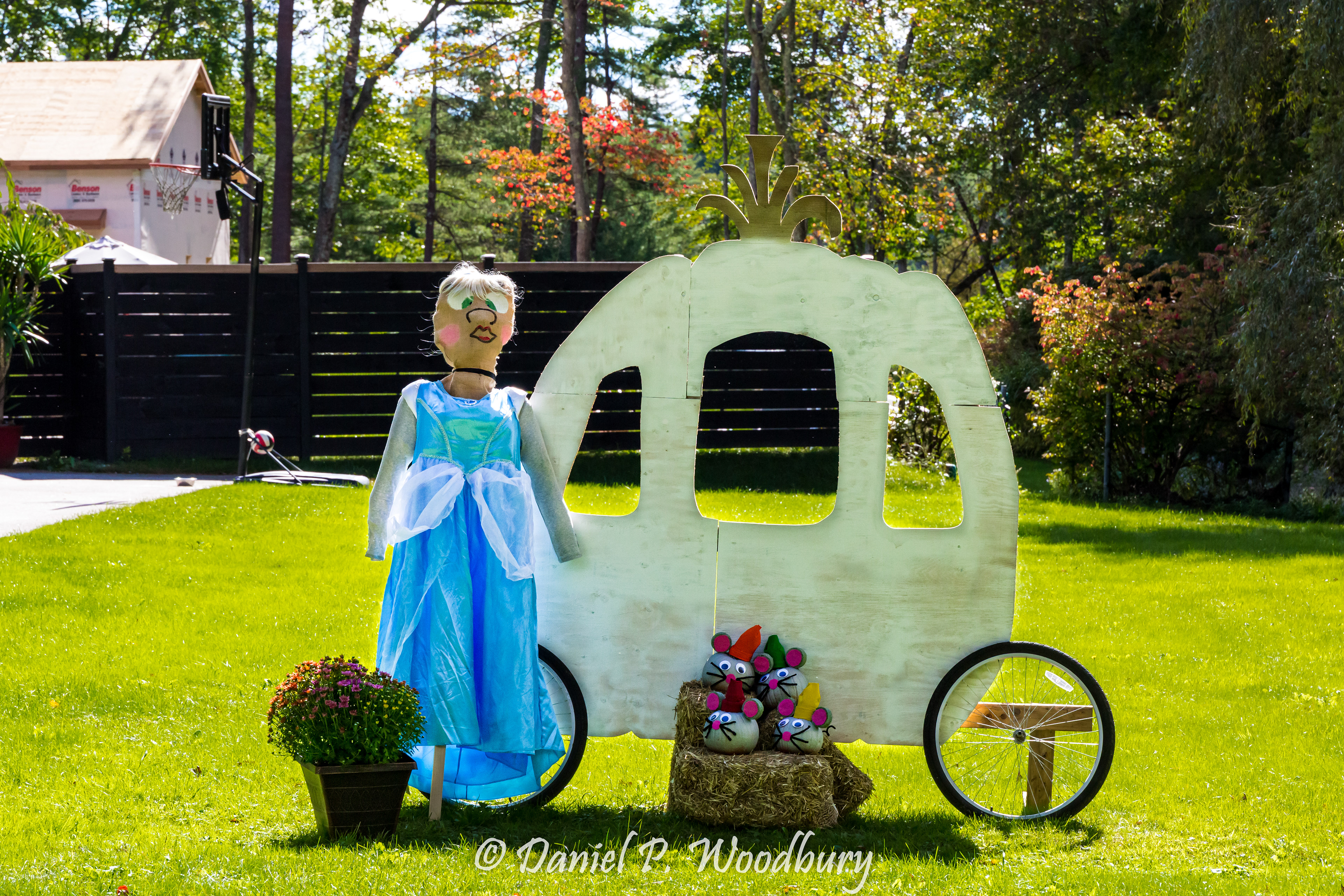 Cinderella Scarecrow