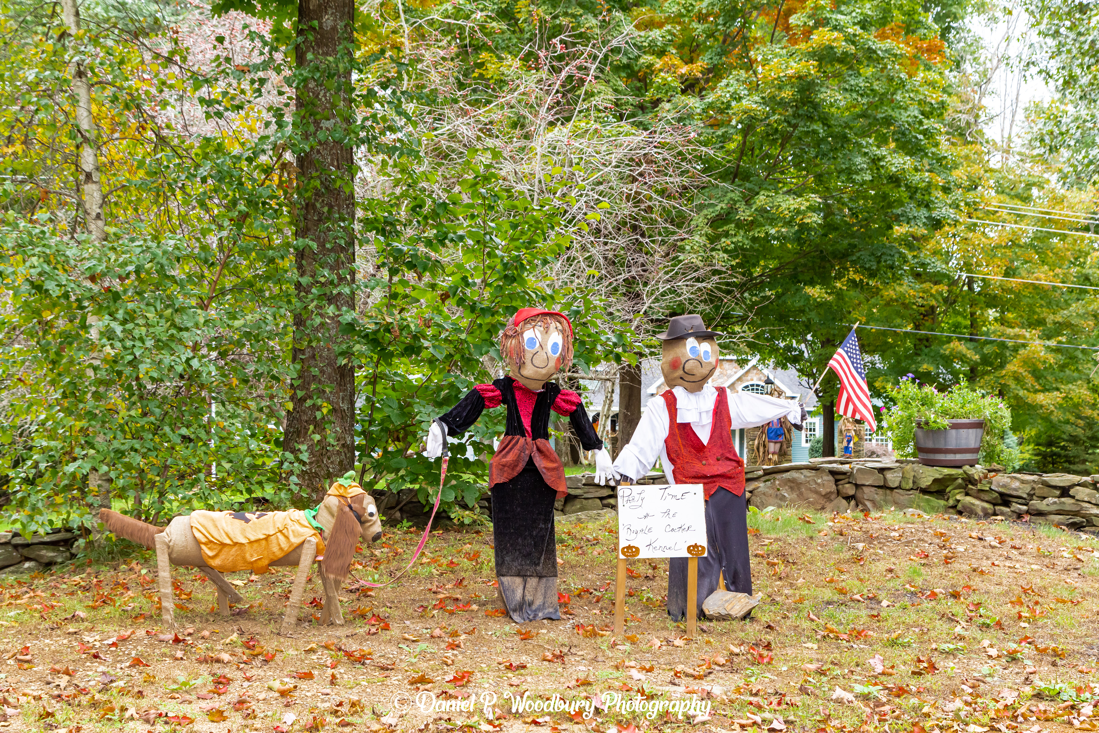Kennel Ownin' Scarecrows