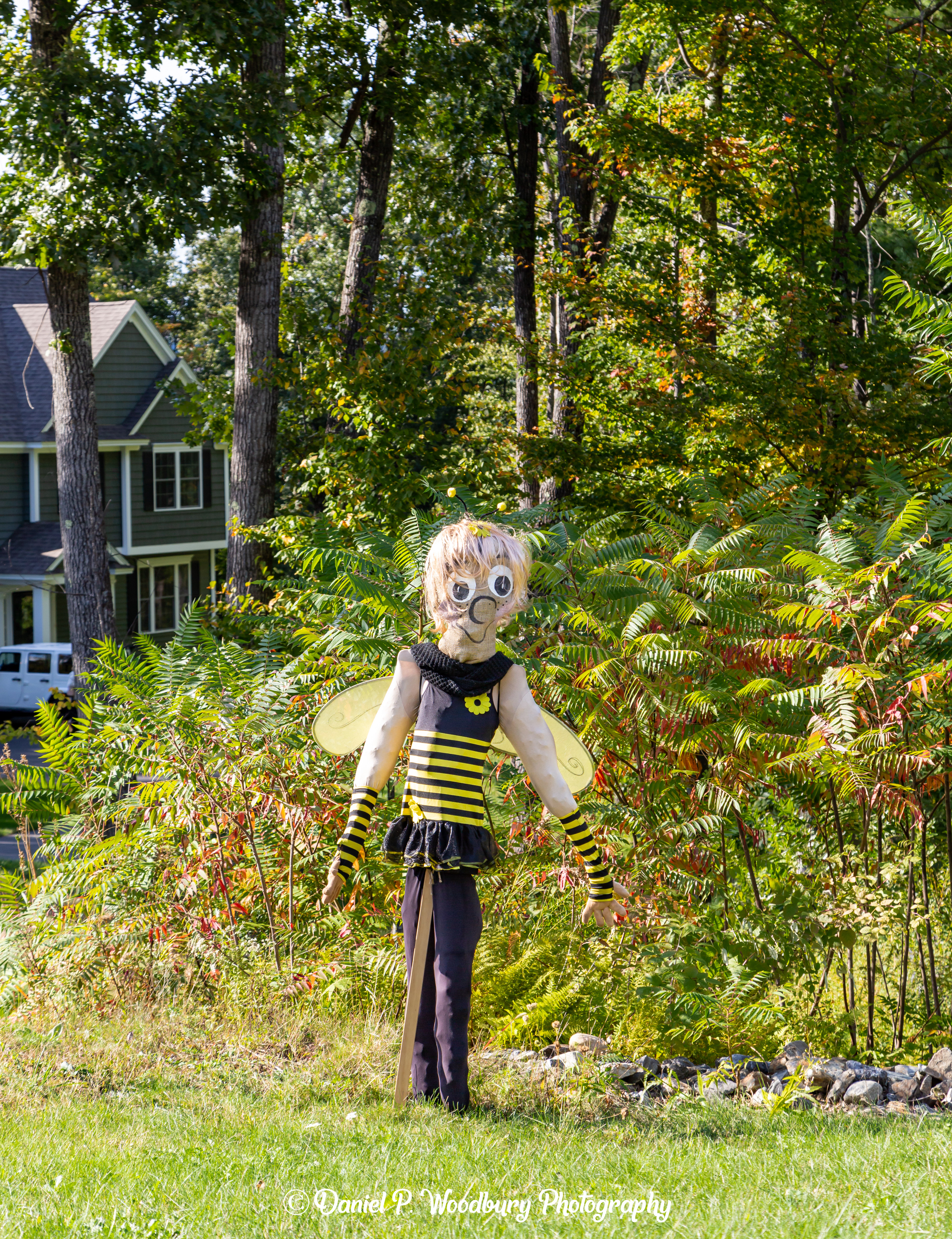 Bee Scarecrow