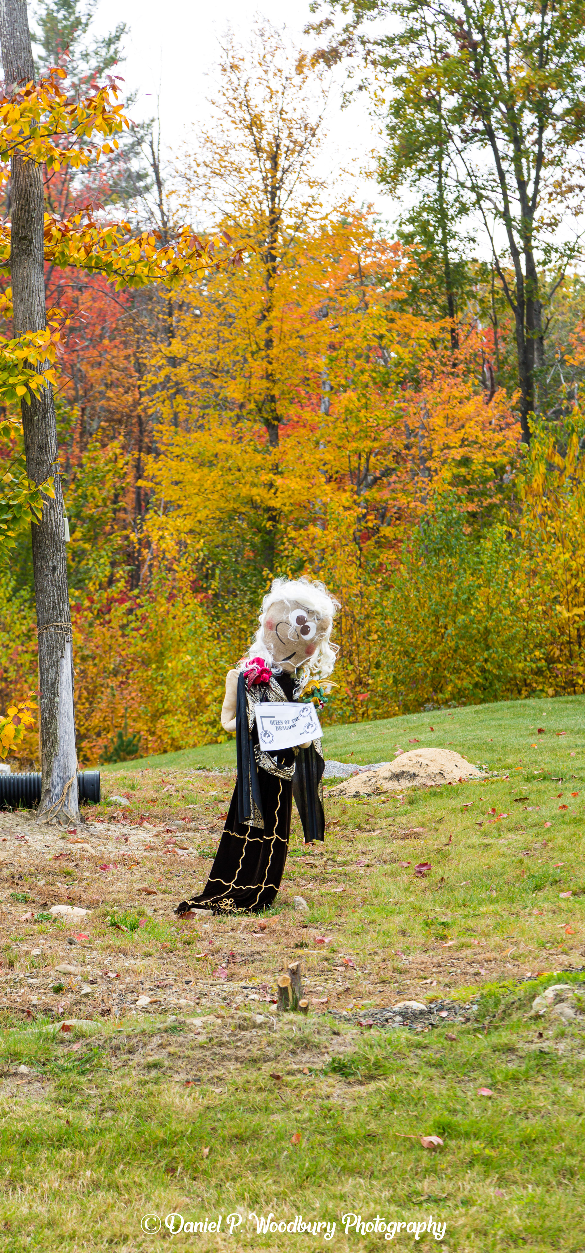 Queen Of The Dragons Scarecrow