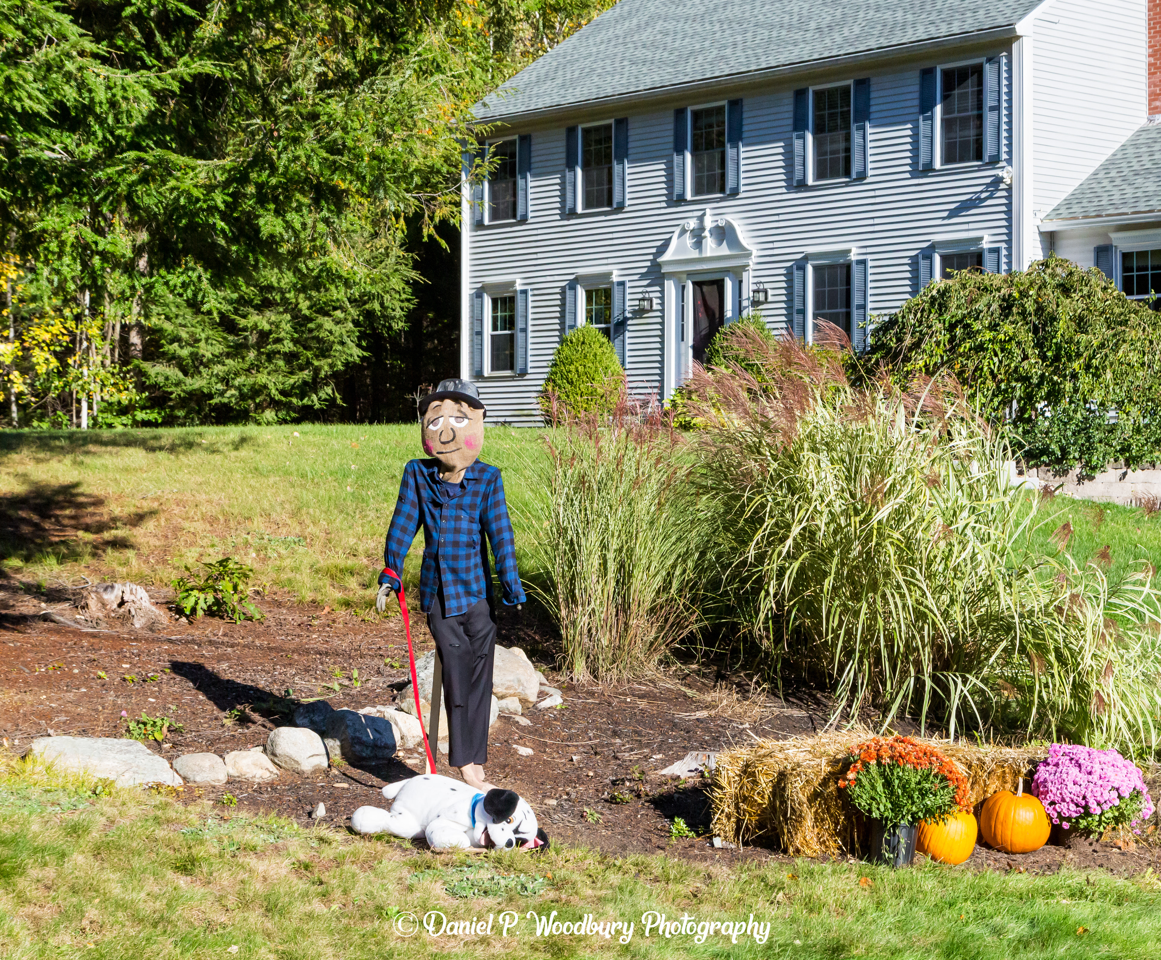 Dog Walkin' Scarecrow