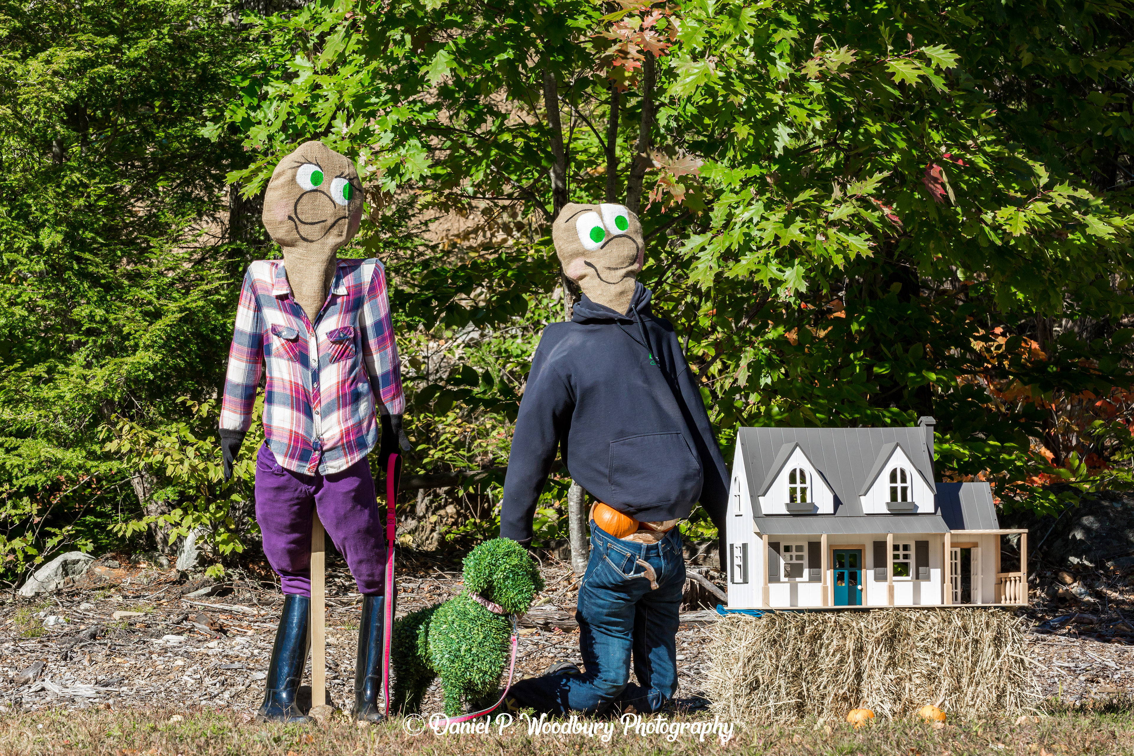 House Buildin' Scarecrows
