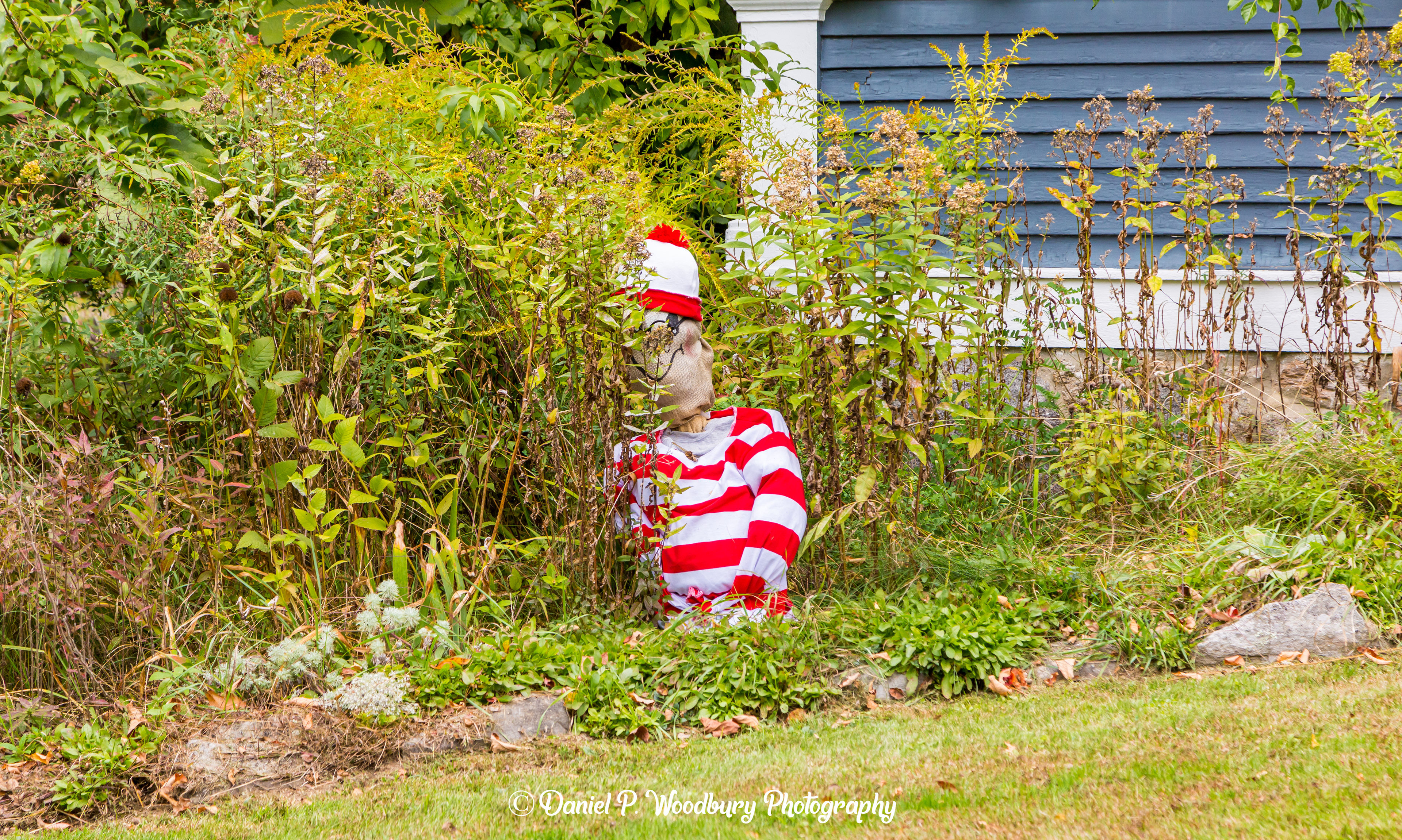 Where's Waldo? Scarecrow