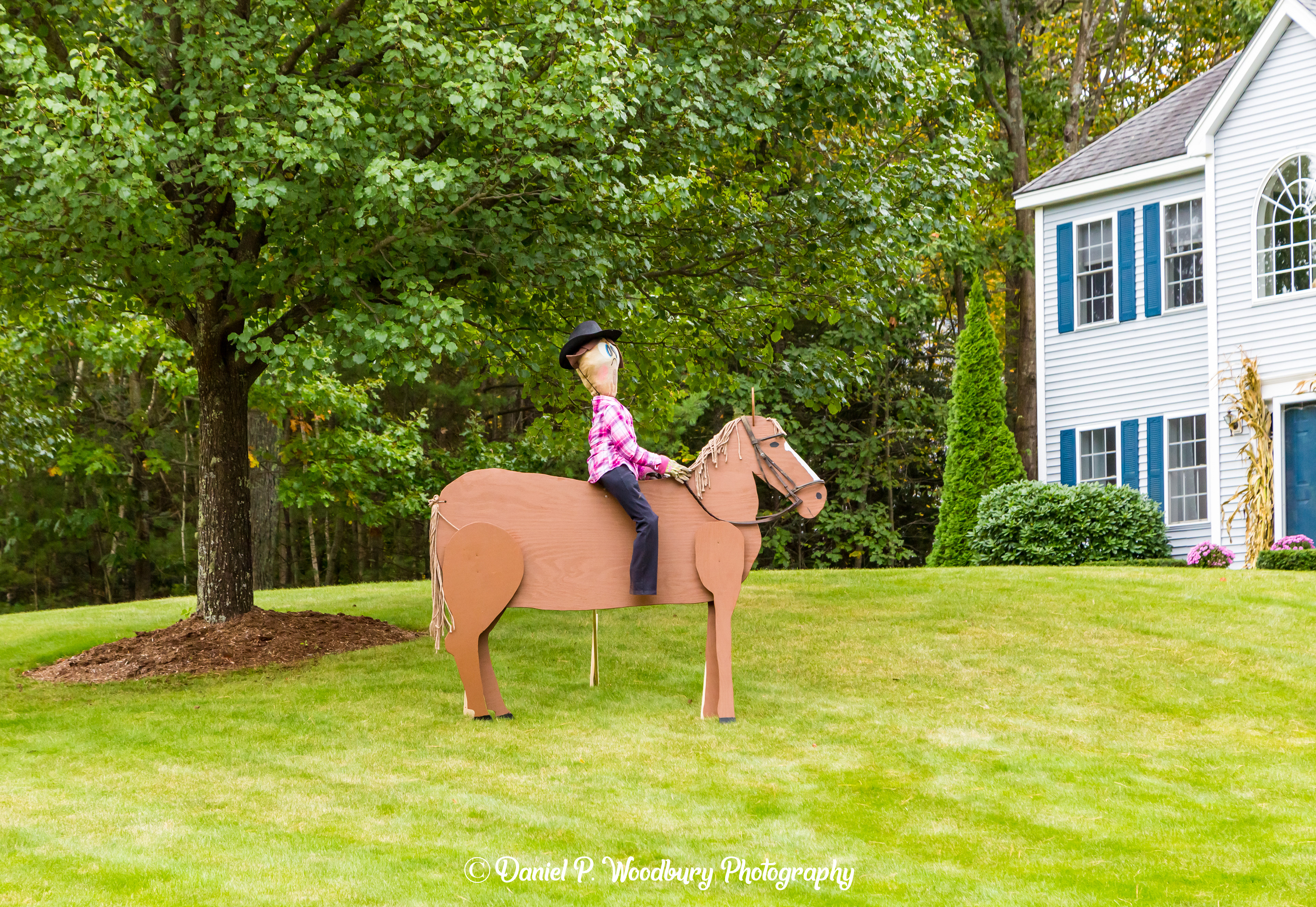Horse Ridin' Scarecrow