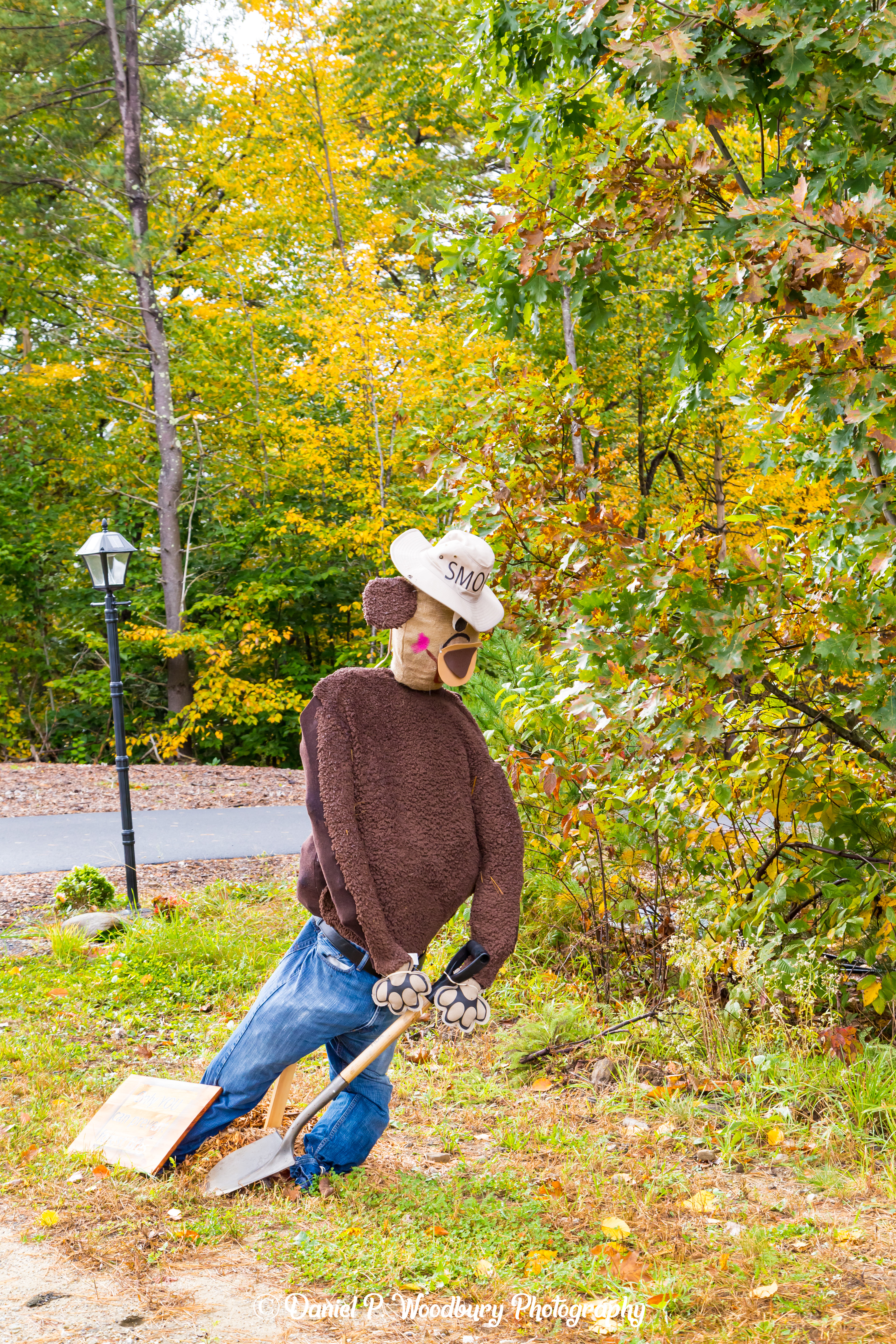 Smokey, The Bear Scarecrow