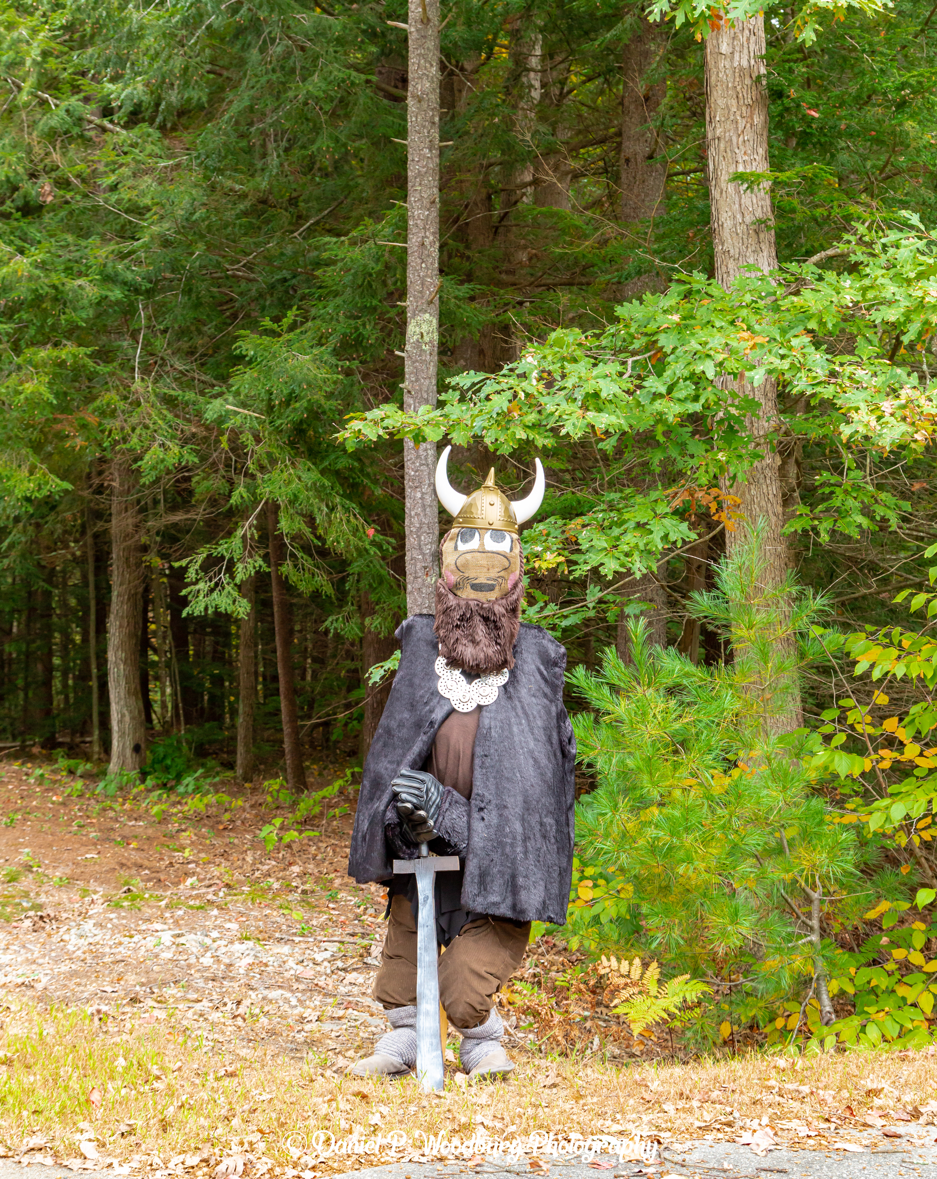 Viking Warrior Scarecrow