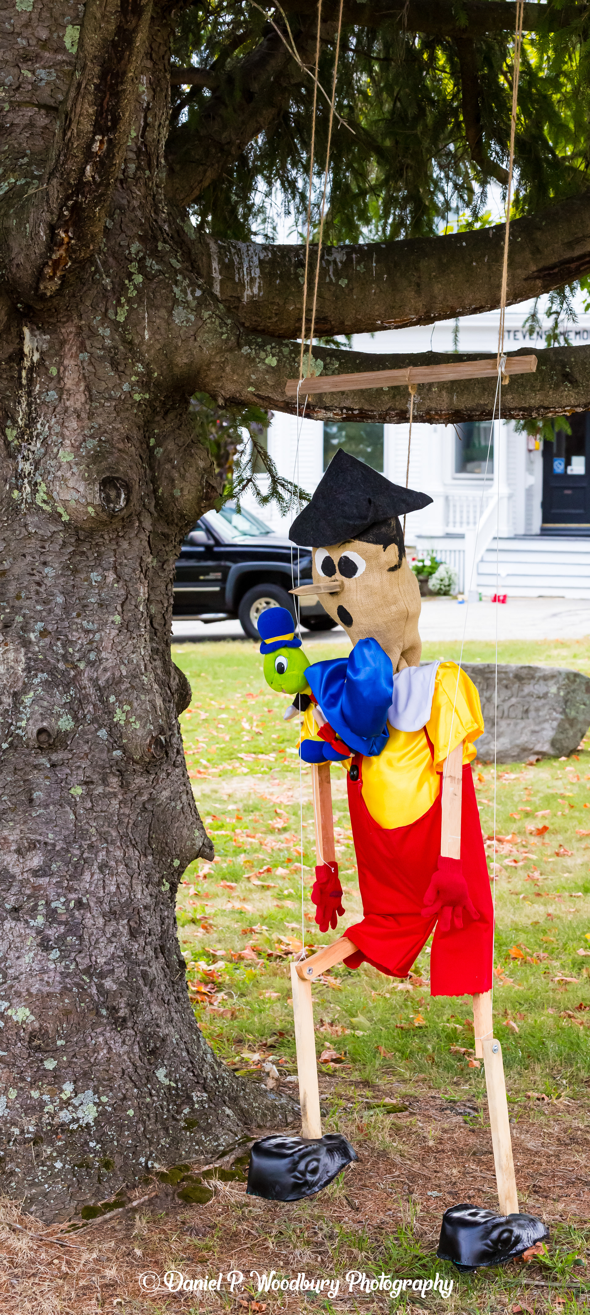 Pinocchio Scarecrow
