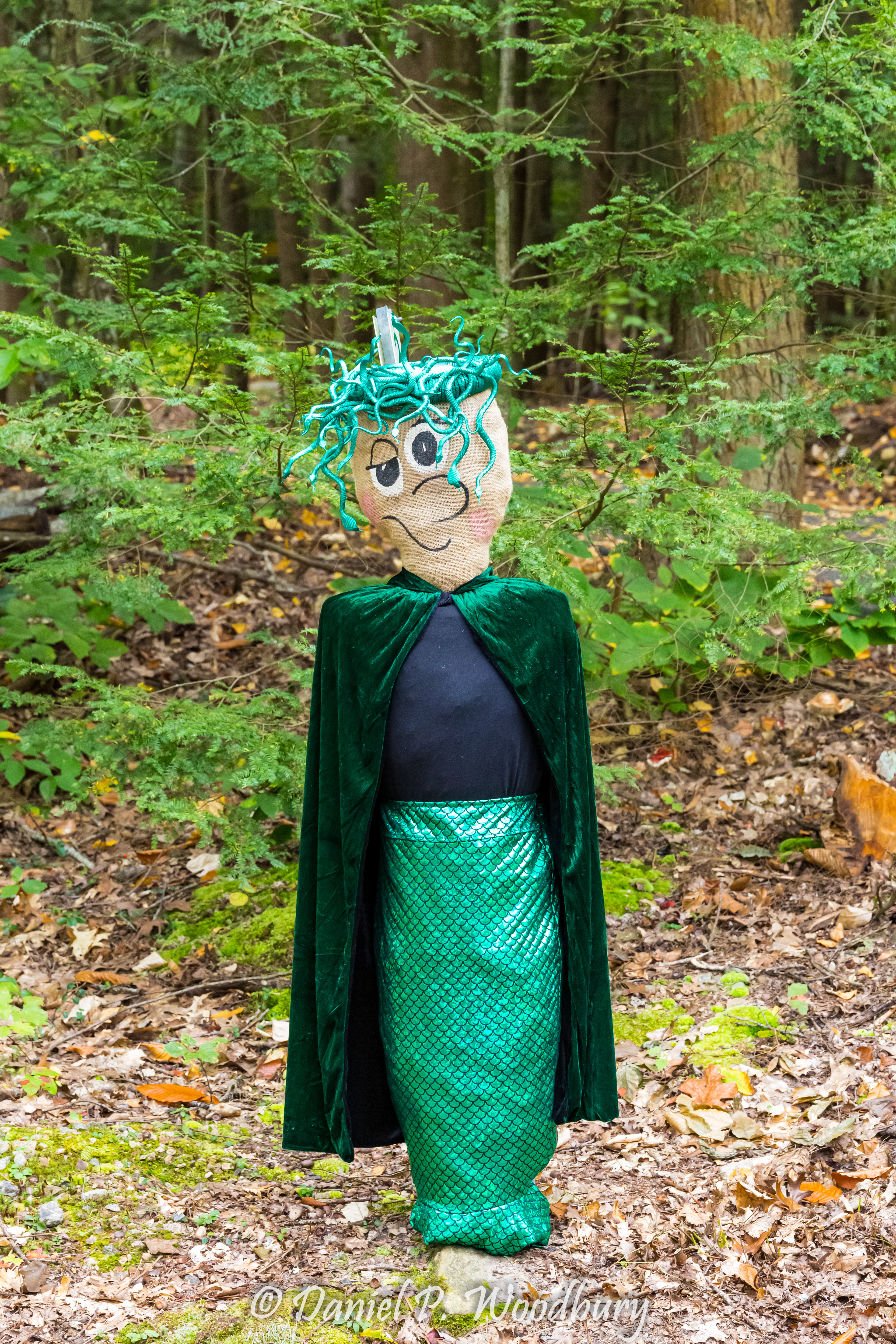 Medusa Scarecrow