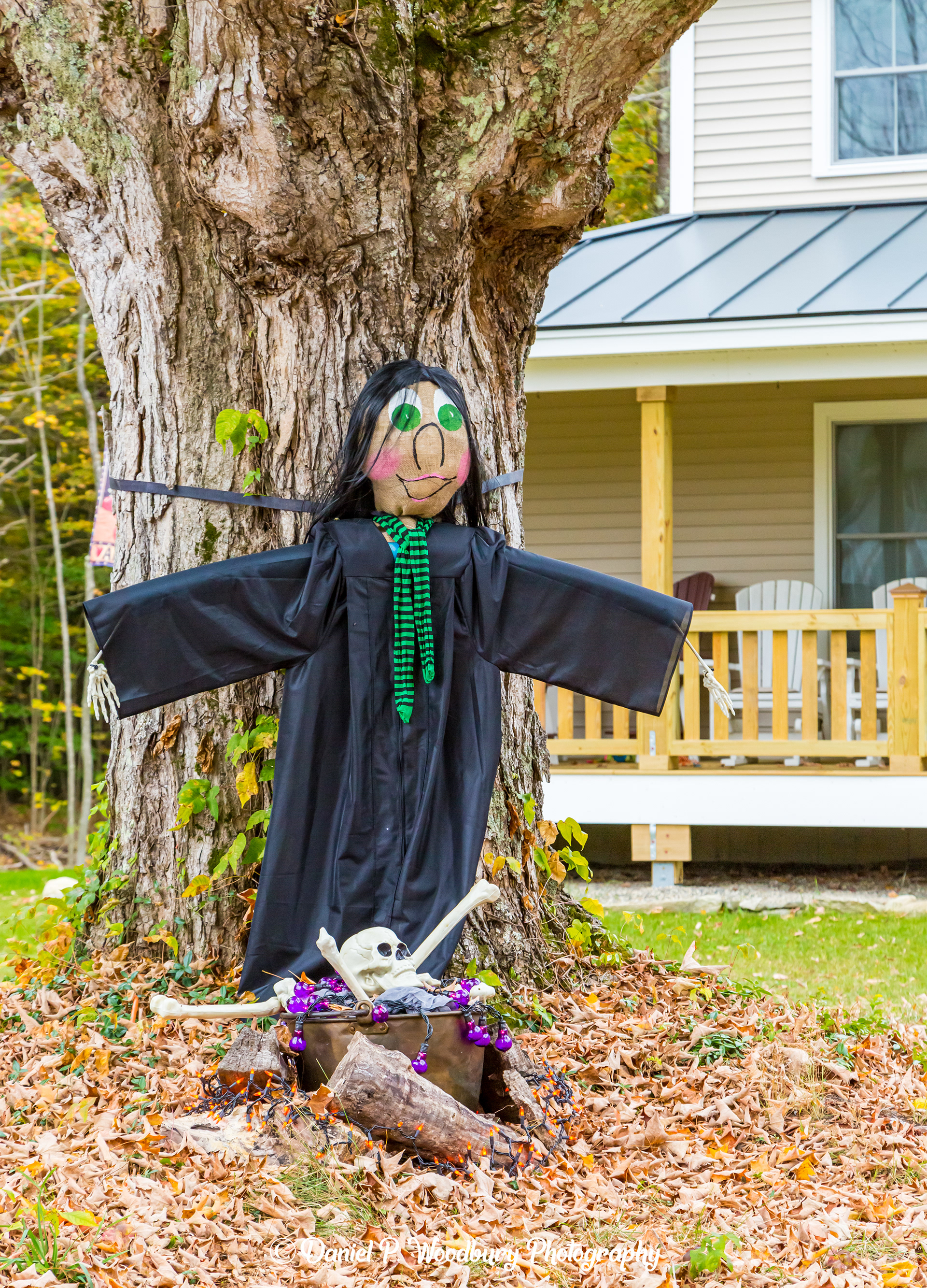Witch Scarecrow